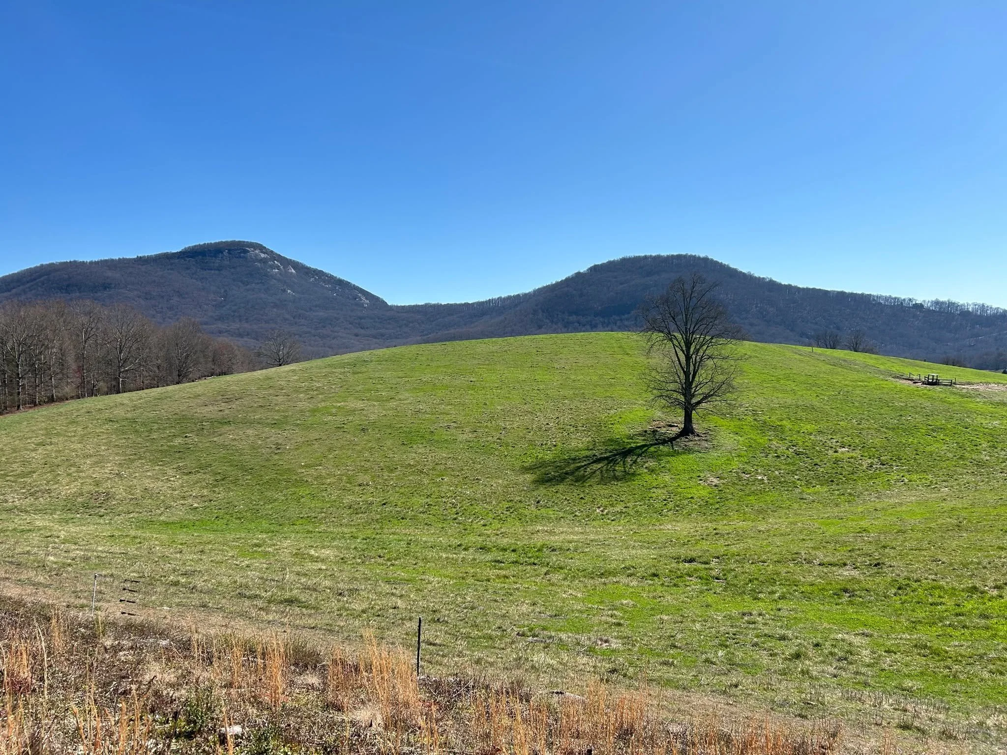 Looking forward to a chai latte and this view again at a cool backcountry coffee shop.