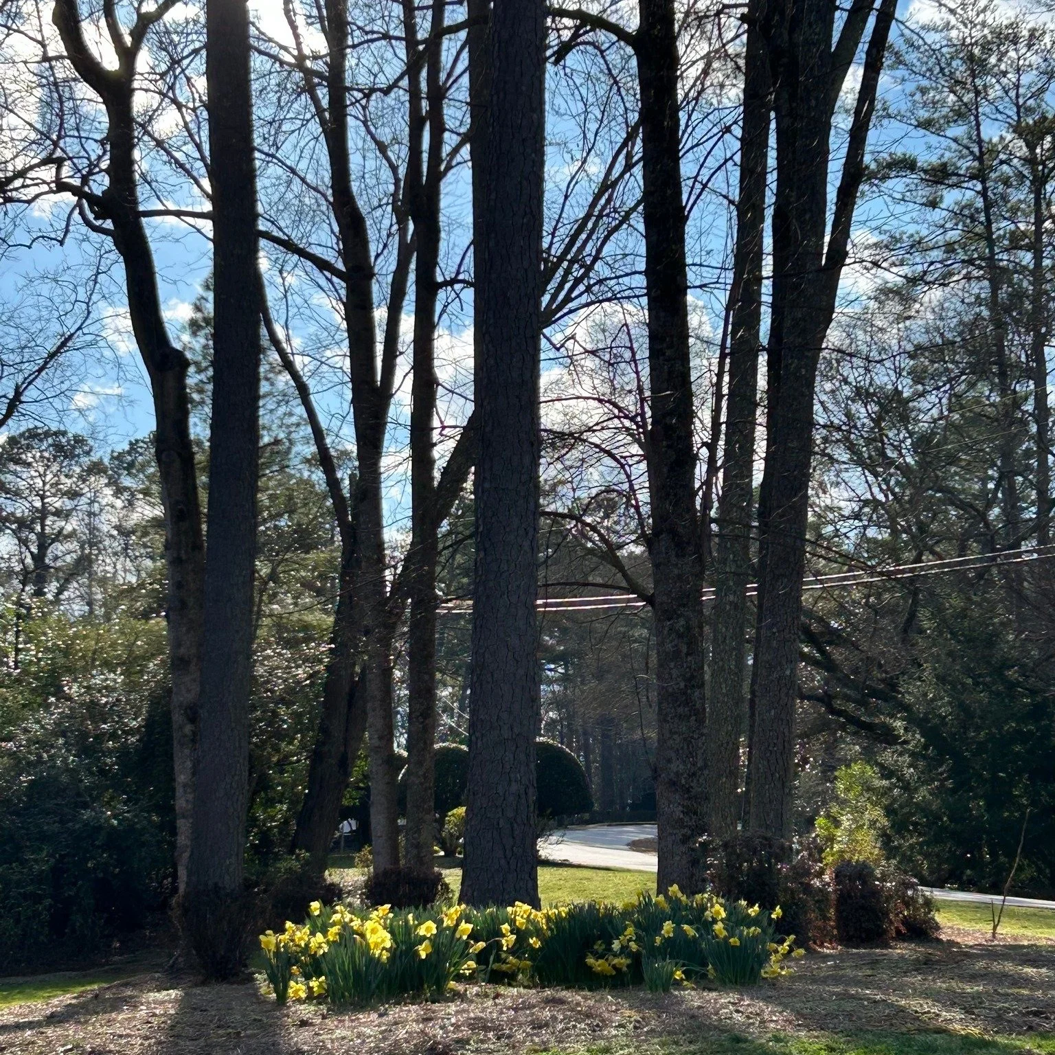 A beautiful, spring-like day. Grateful.