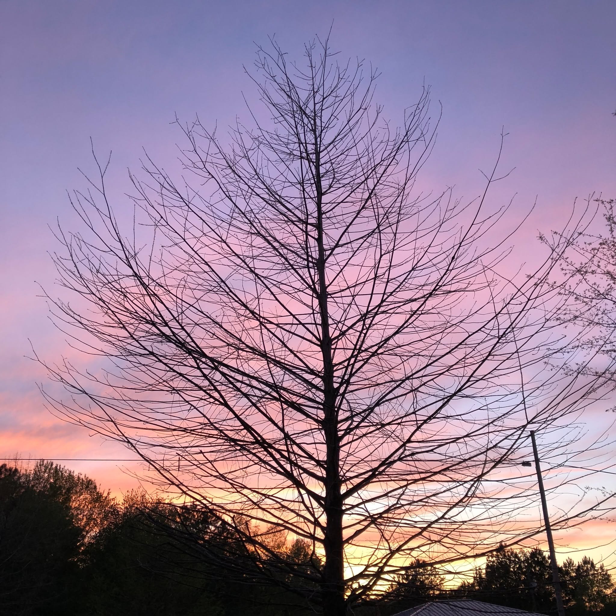 "Every sunset brings the promise of a new dawn." &mdash; Ralph Waldo Emerson