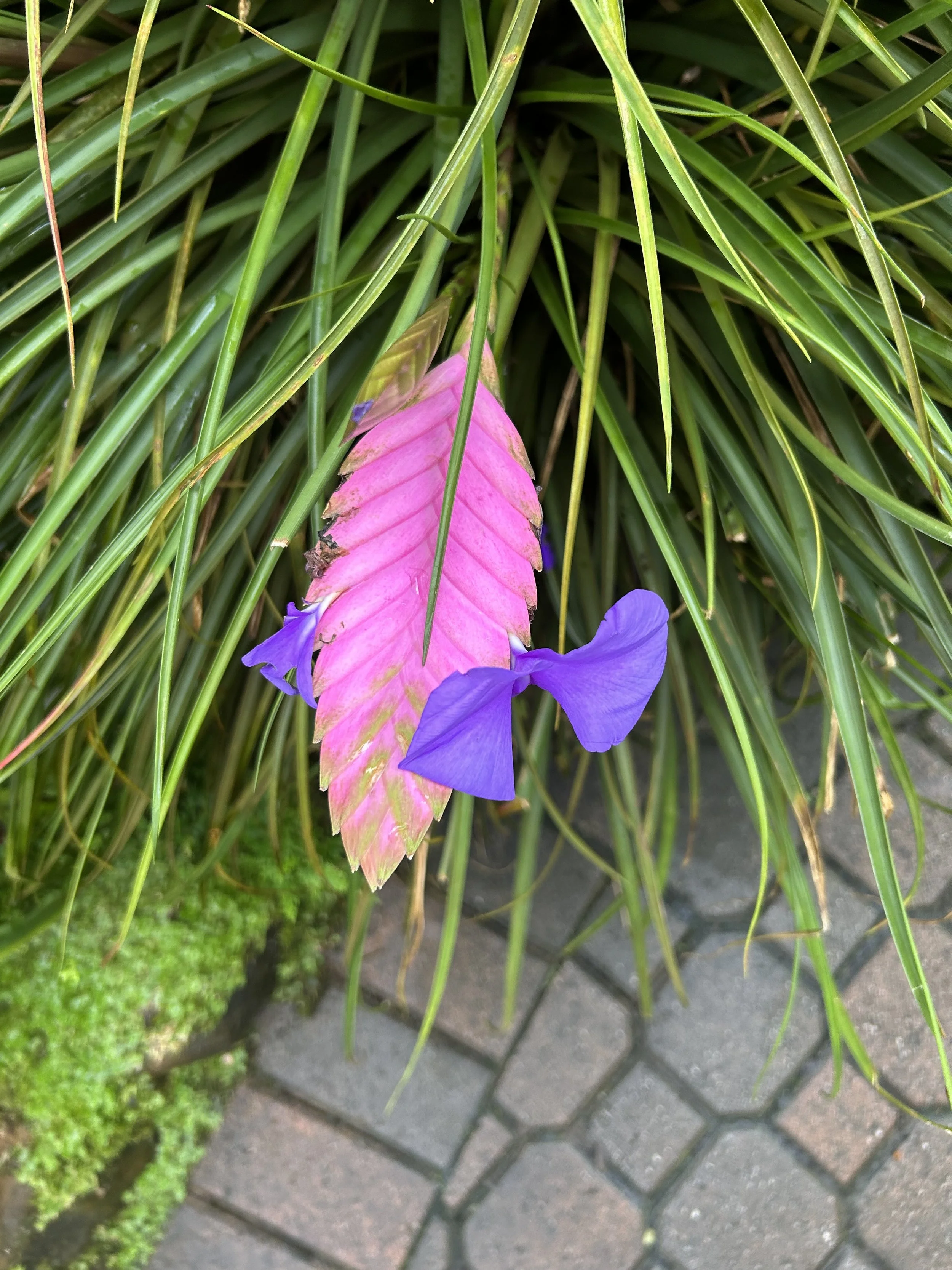 A List of Late-Summer Loves