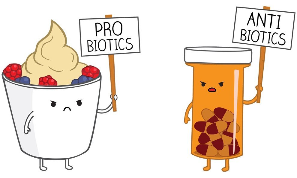 probiotic and antibiotic protesters