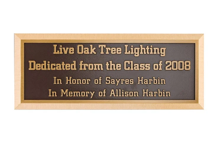 42-bronzelive-oak-tree.jpg