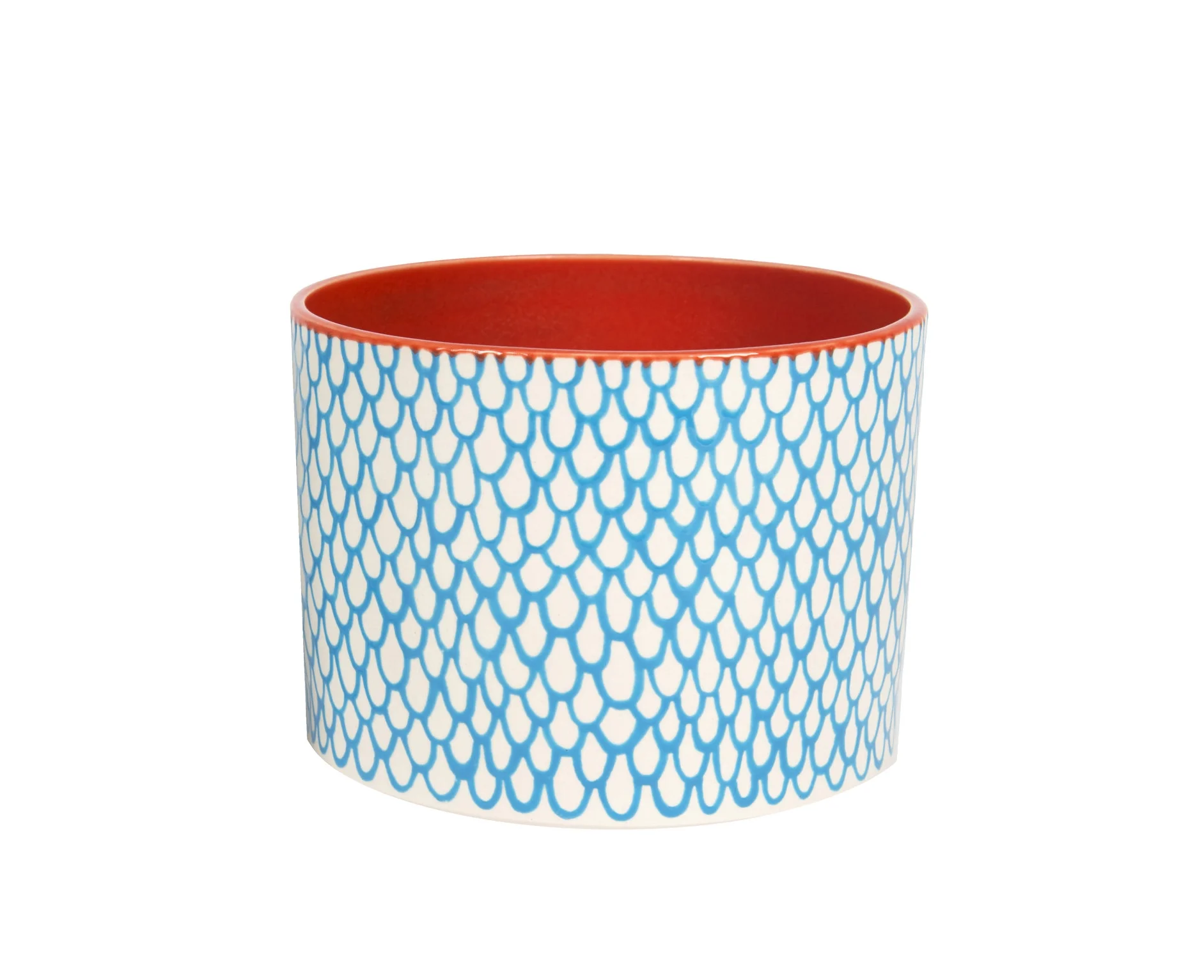 wide blue scale planter.jpg