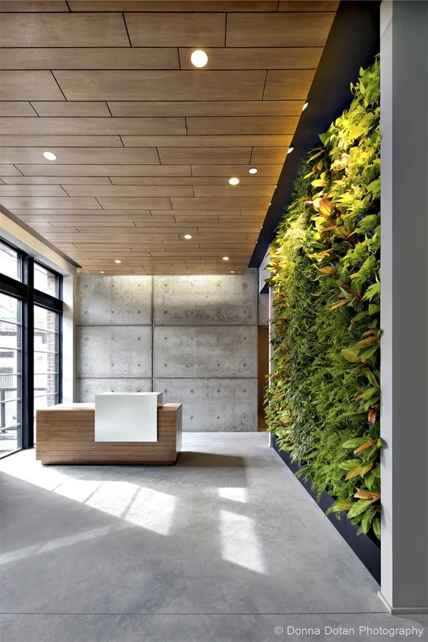 Interior Designer at Greenberg Farrow