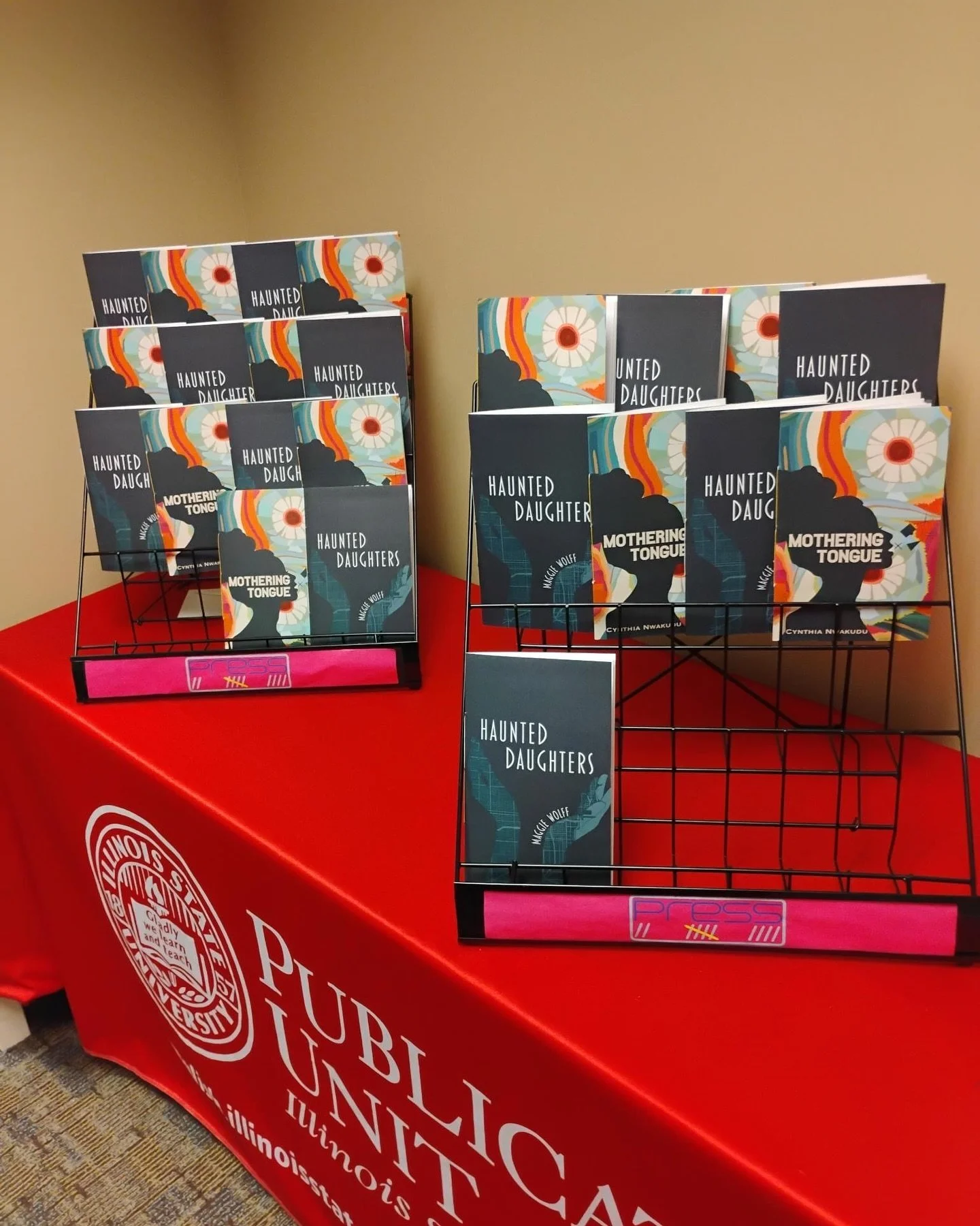 What a whirlwind! 
💫 
Such a wild ride that it took me a few weeks to recover from the launch of my first ever chapbook, Haunted Daughters (Press 254). 
💫 
It was a delightful gift to spend the evening with a thoughtful audience of people willing t