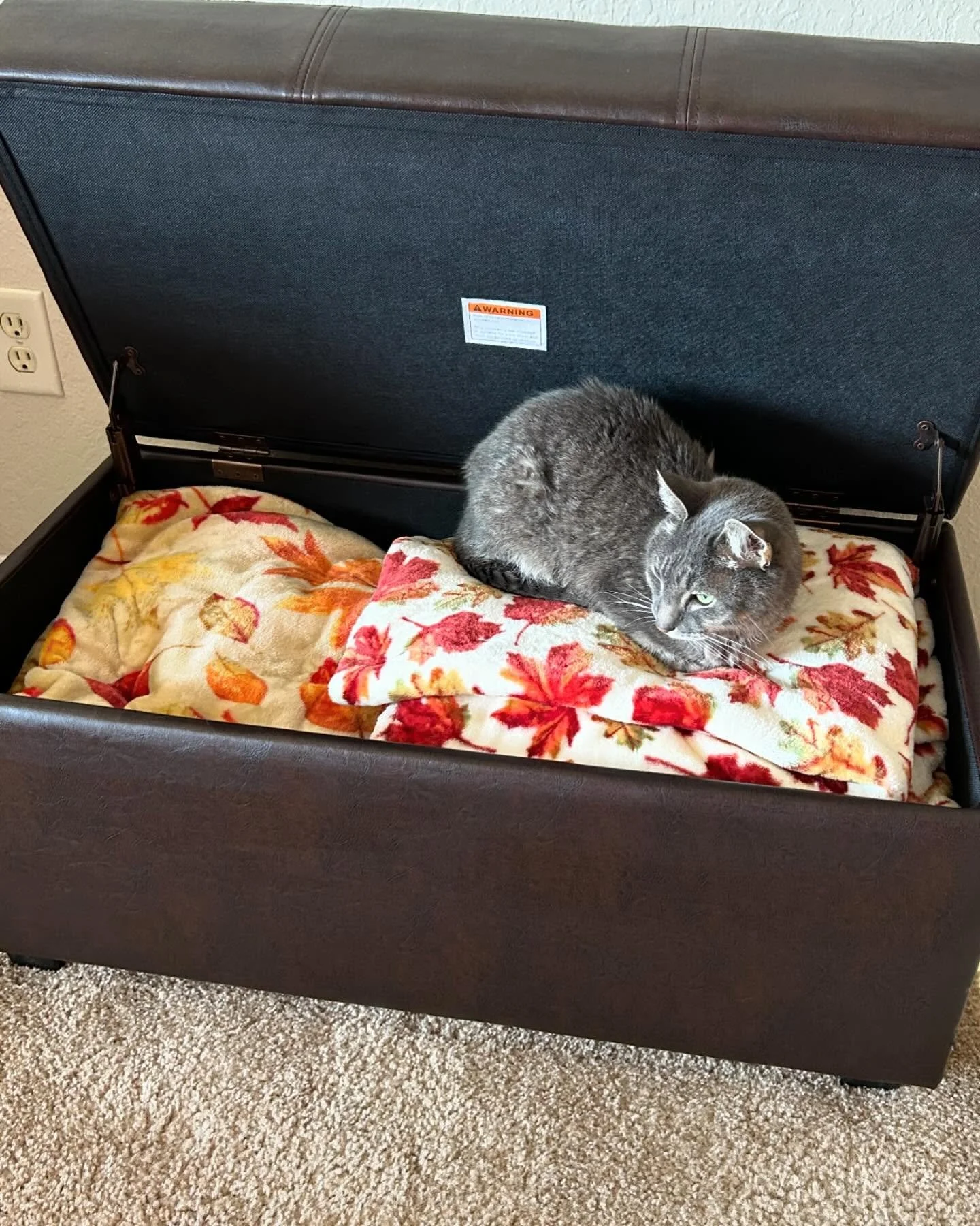 September has always been a favorite of mine. 🧡