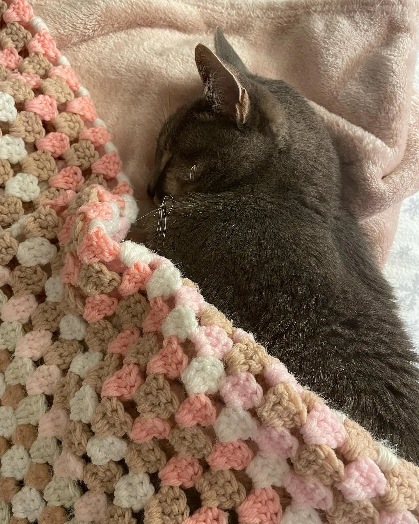 January photo dump part 2 or whatever