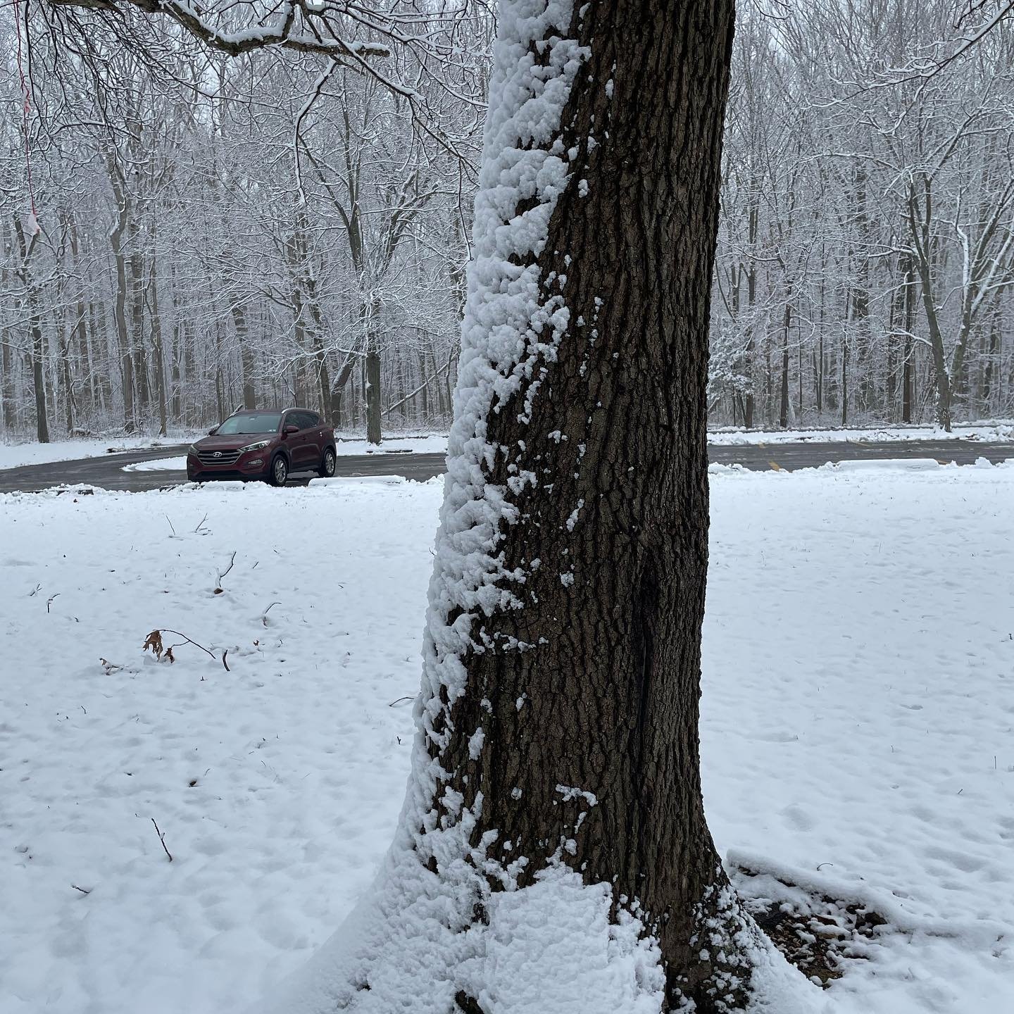 January photo dump part 1 or whatever 

#writinglife #writersofinstagram #arehashtagsstillathing