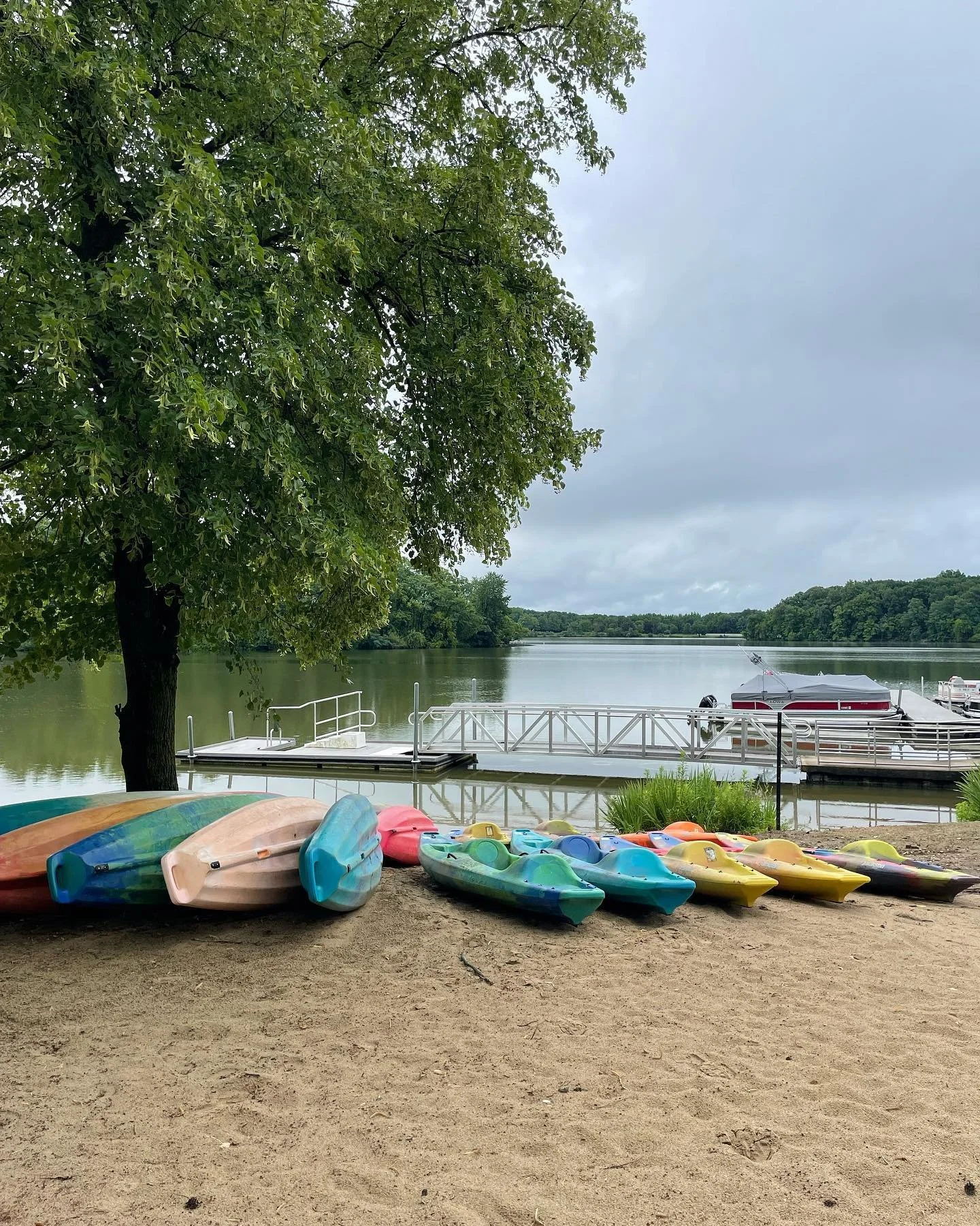 PhD Chronicles. Summer in Illinois.