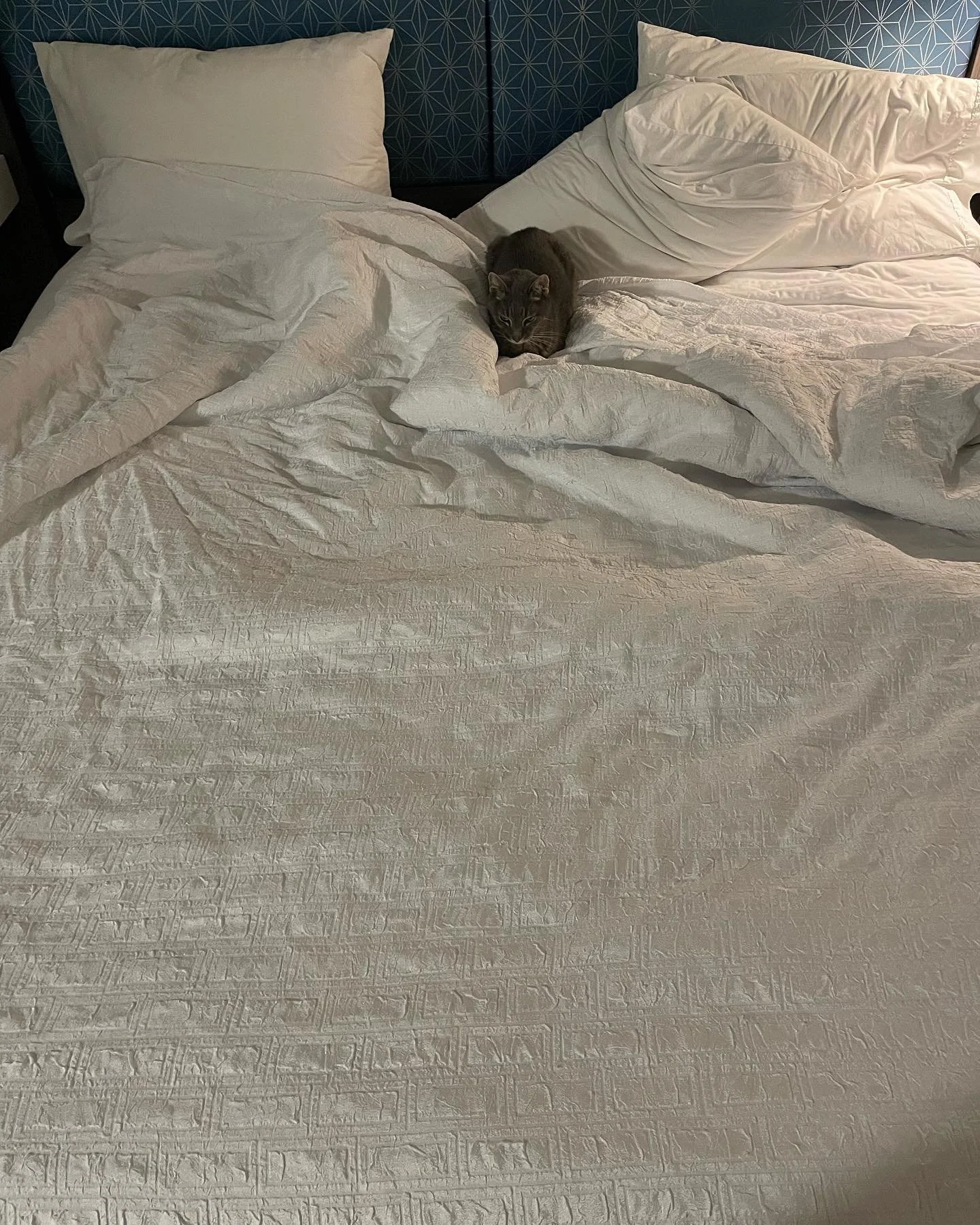 PhD Years: A Visual Chronicle. 
Summer break A in Florida.