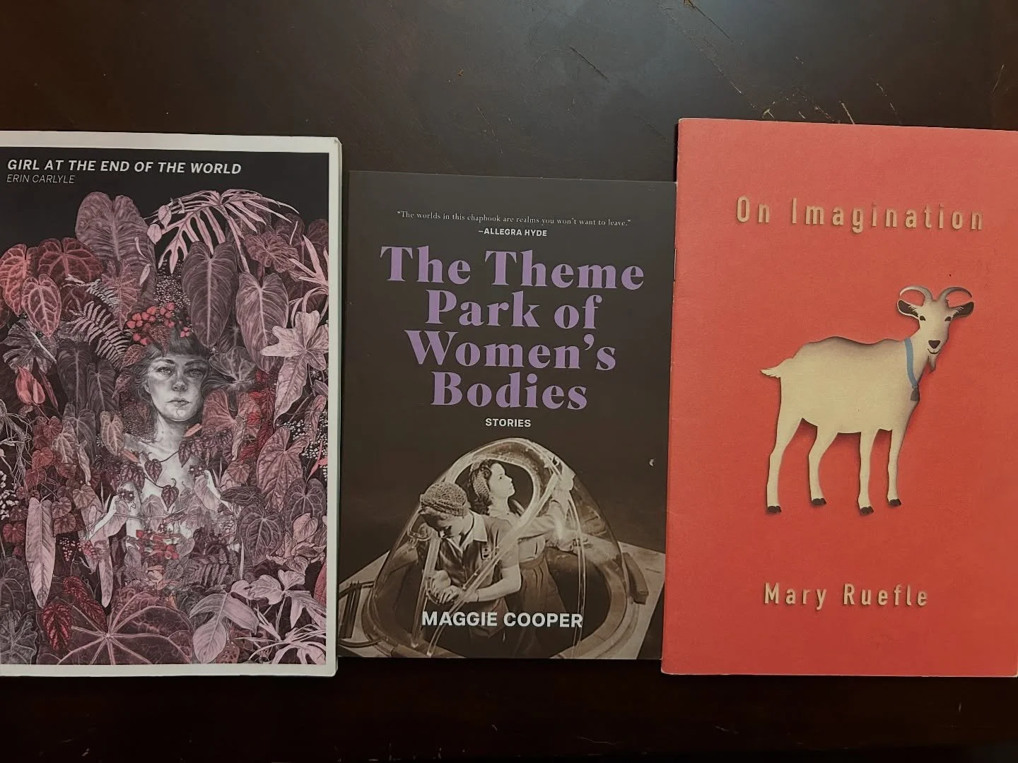 Some recent reads I thoroughly enjoyed 📚 @frecklywords @erincarlylepoetcatgirl @driftwoodpress 

#writinglife #writersofinstagram #writing #books #bookstagram