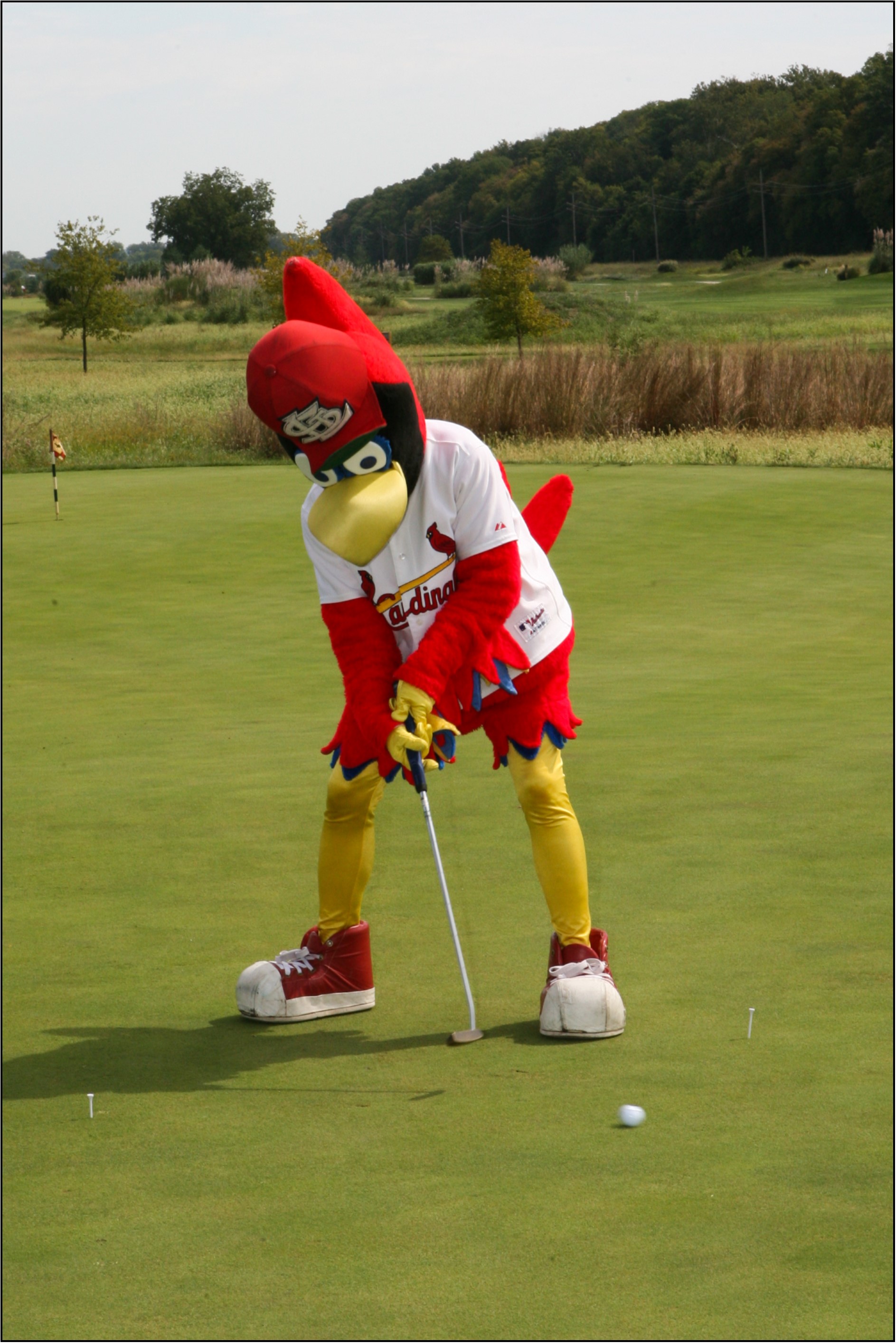 Fred Bird golfing.jpg