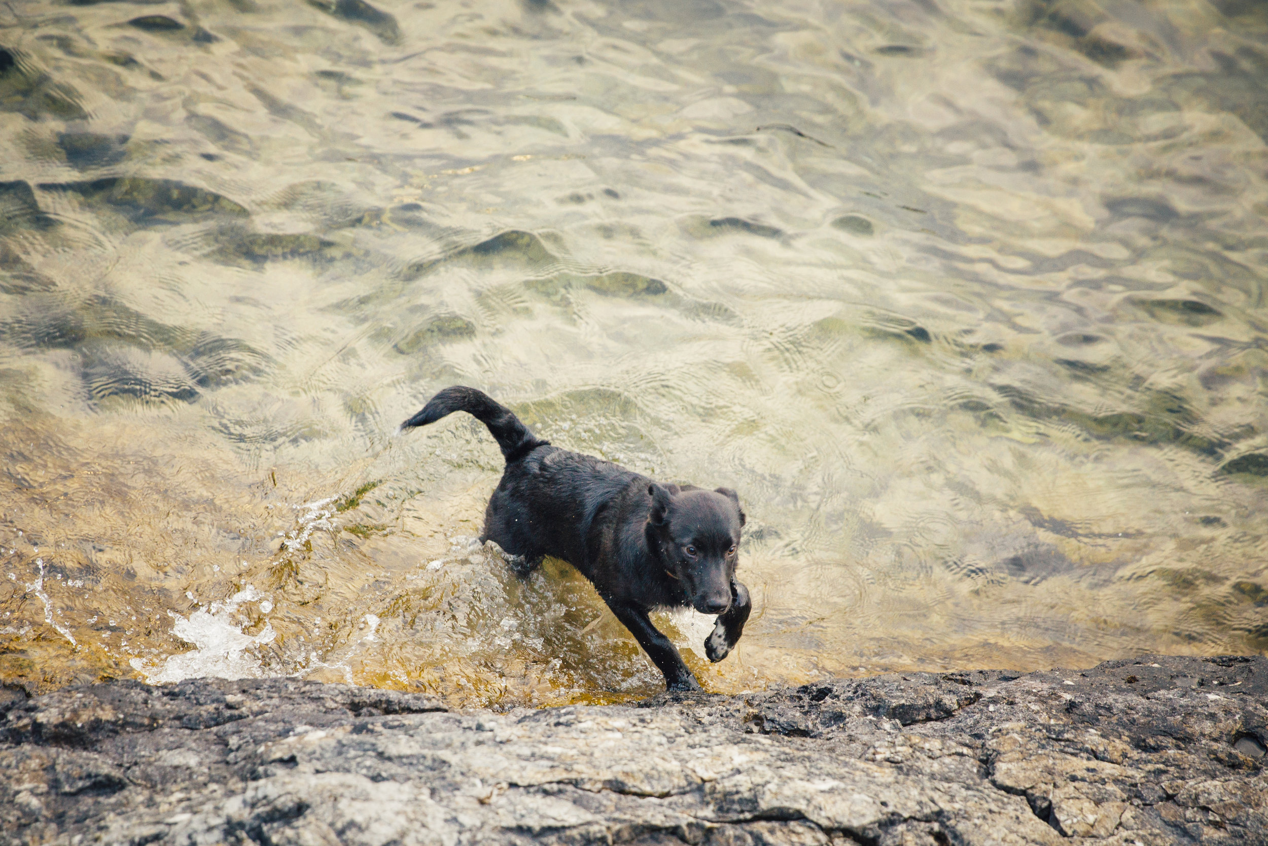 Kelowna Knox Mountain Photographer