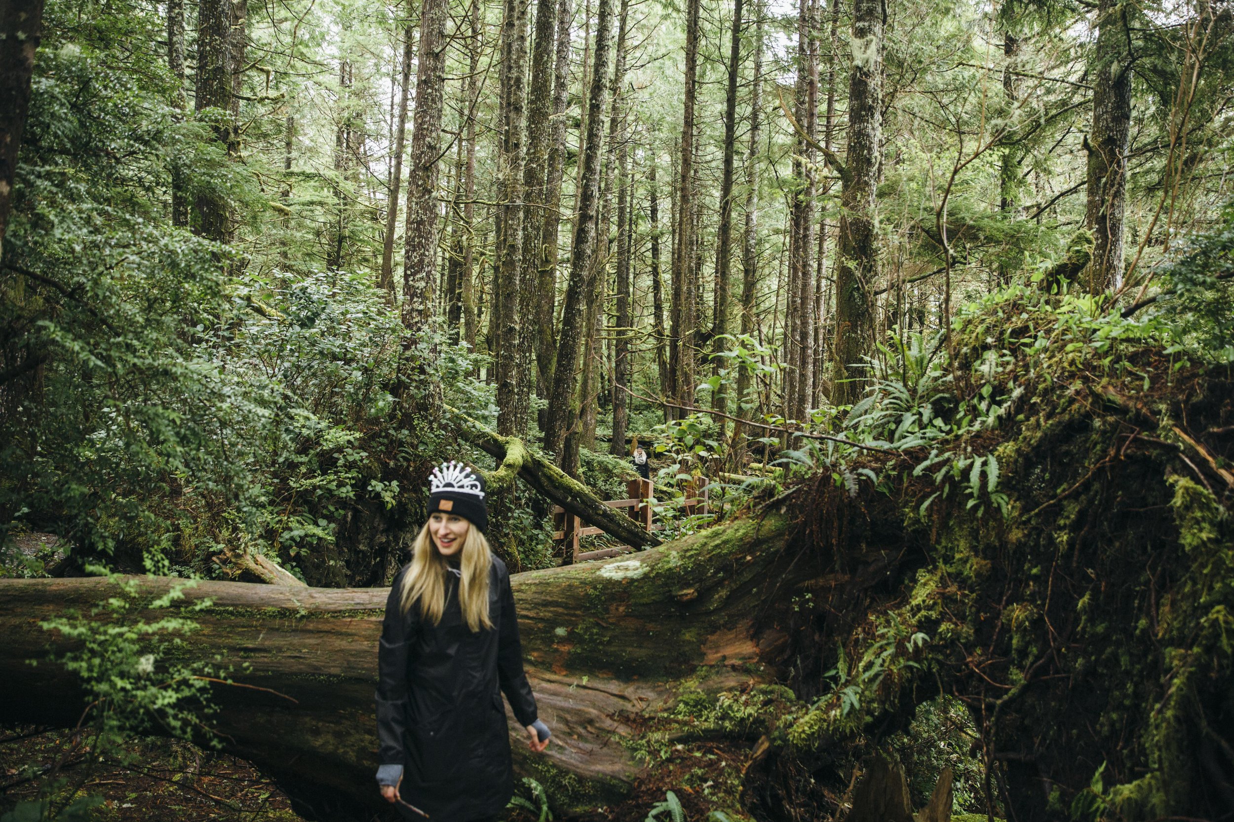 Massive dead tree in Tofino