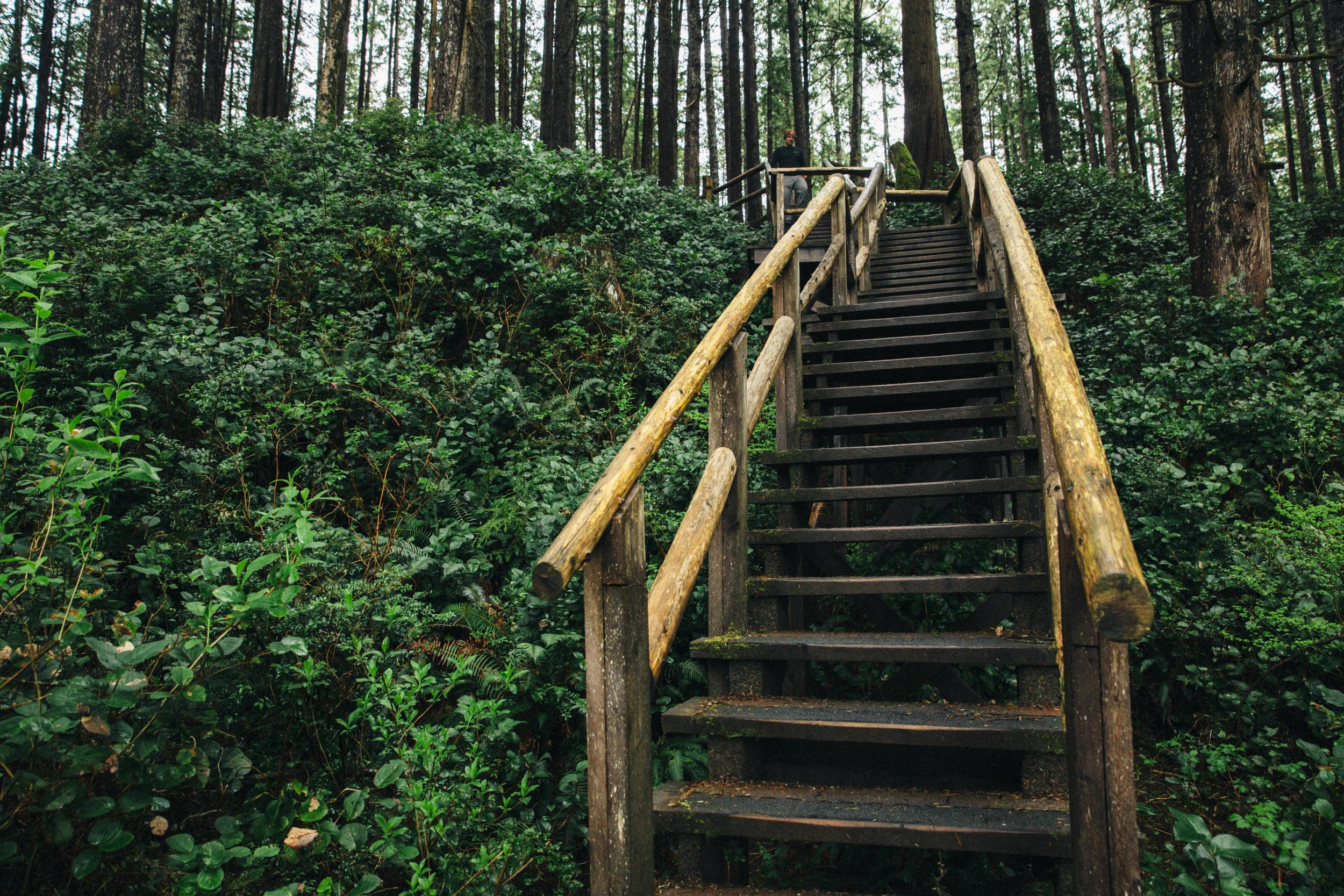 Stairs in Tonquin park