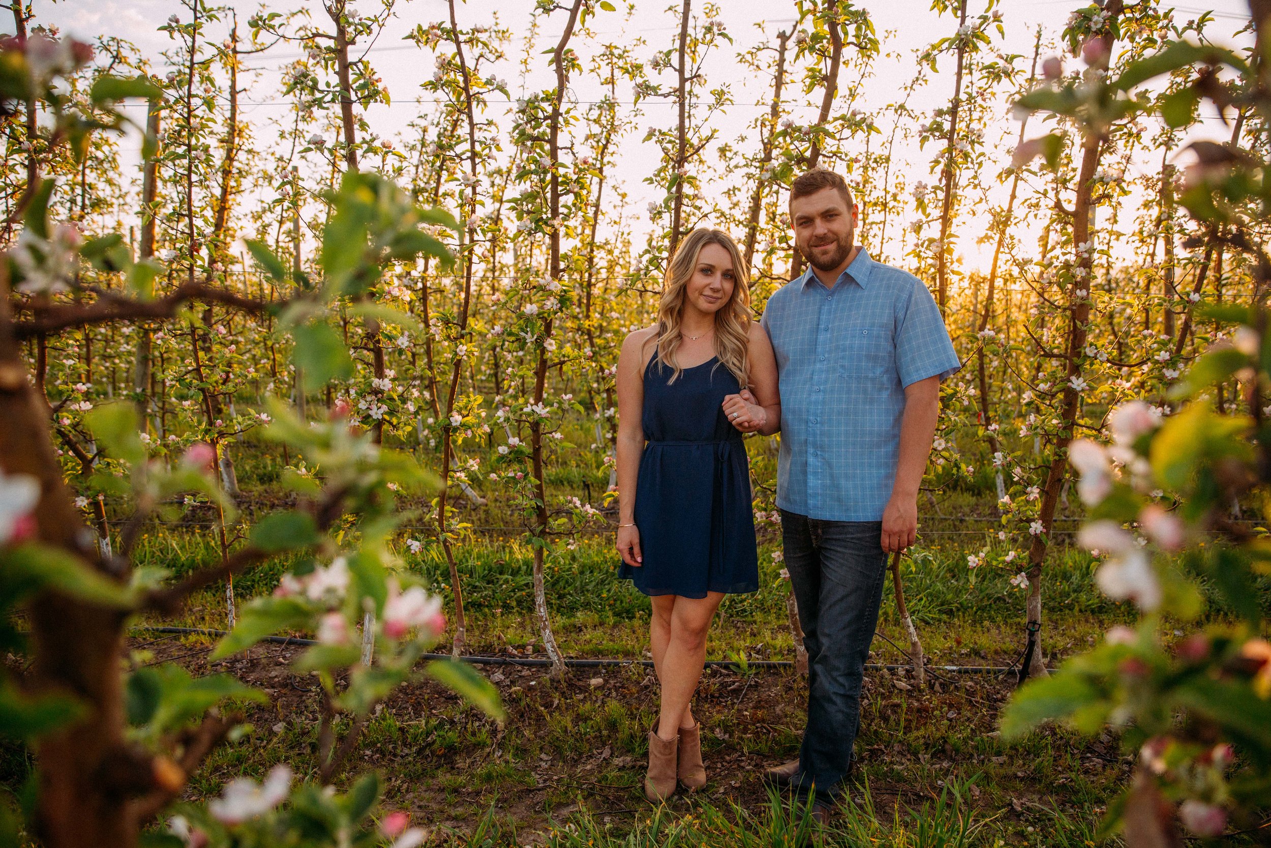 Apple tree engagement session in Kelowna