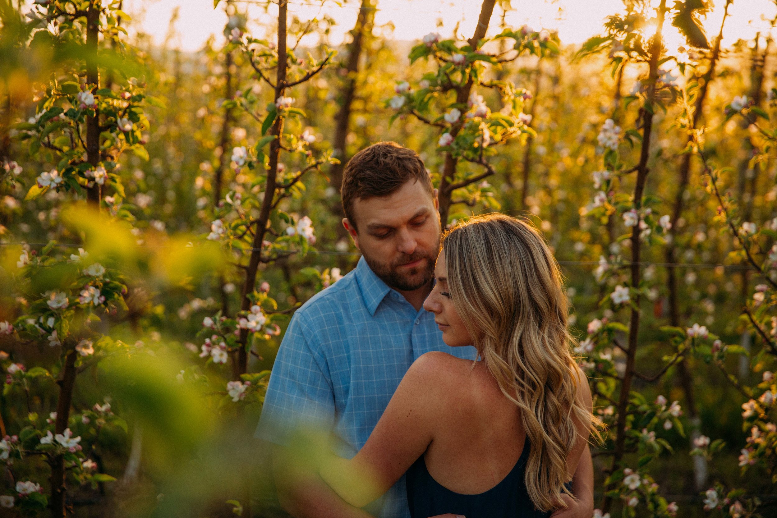 Apple tree engagement session in Kelowna