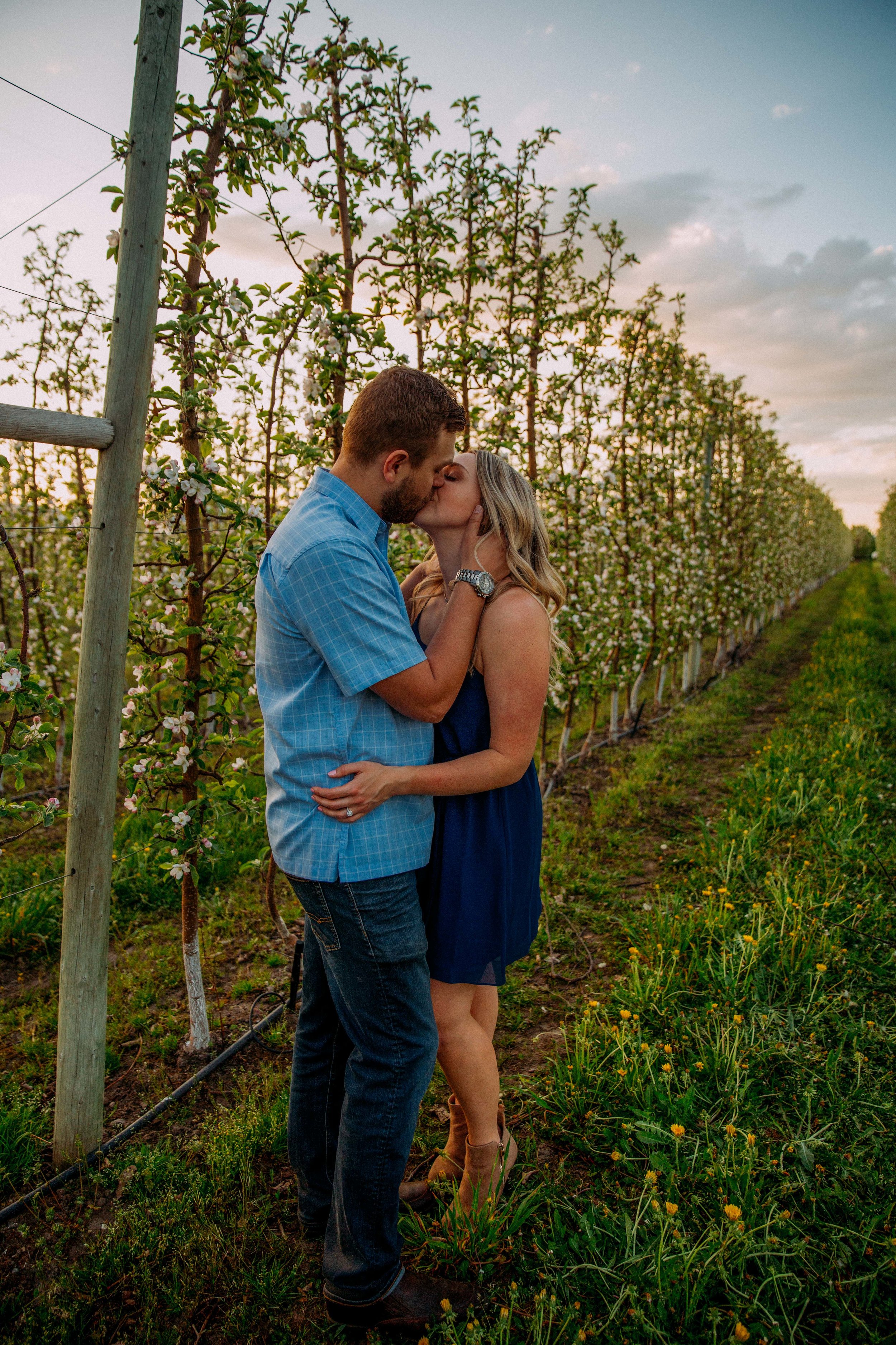 Apple tree engagement session in Kelowna