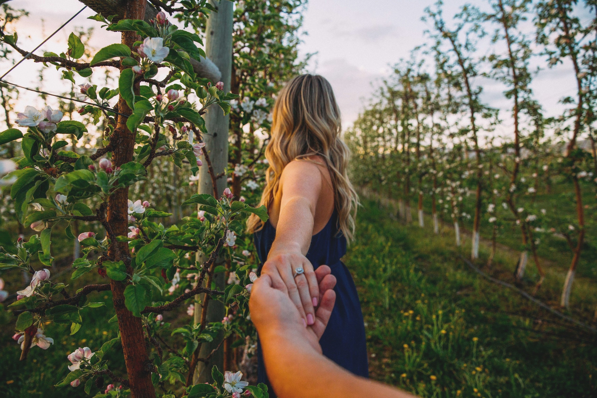 Apple tree engagement session in Kelowna