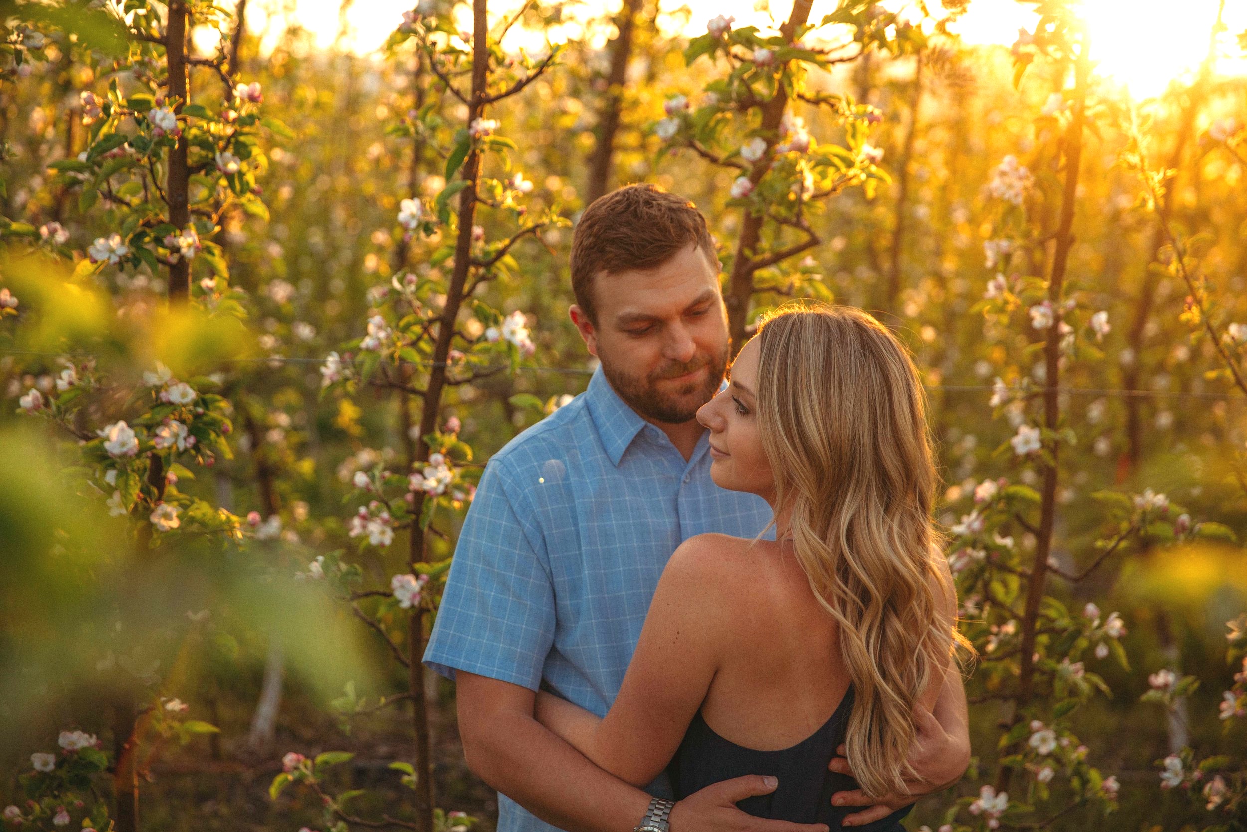 Apple tree engagement session in Kelowna