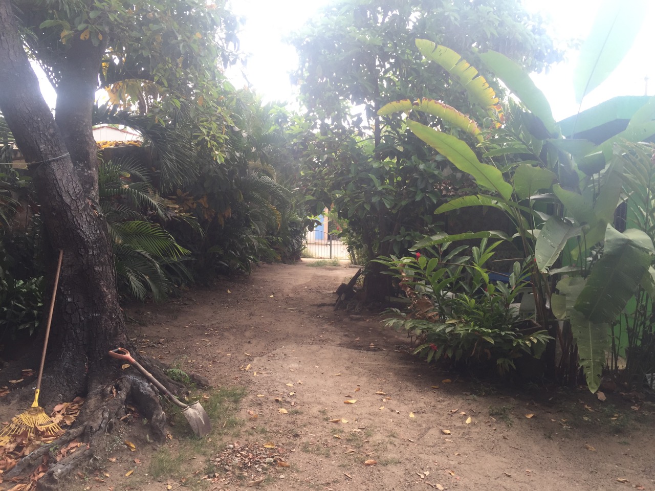 The Side Yard