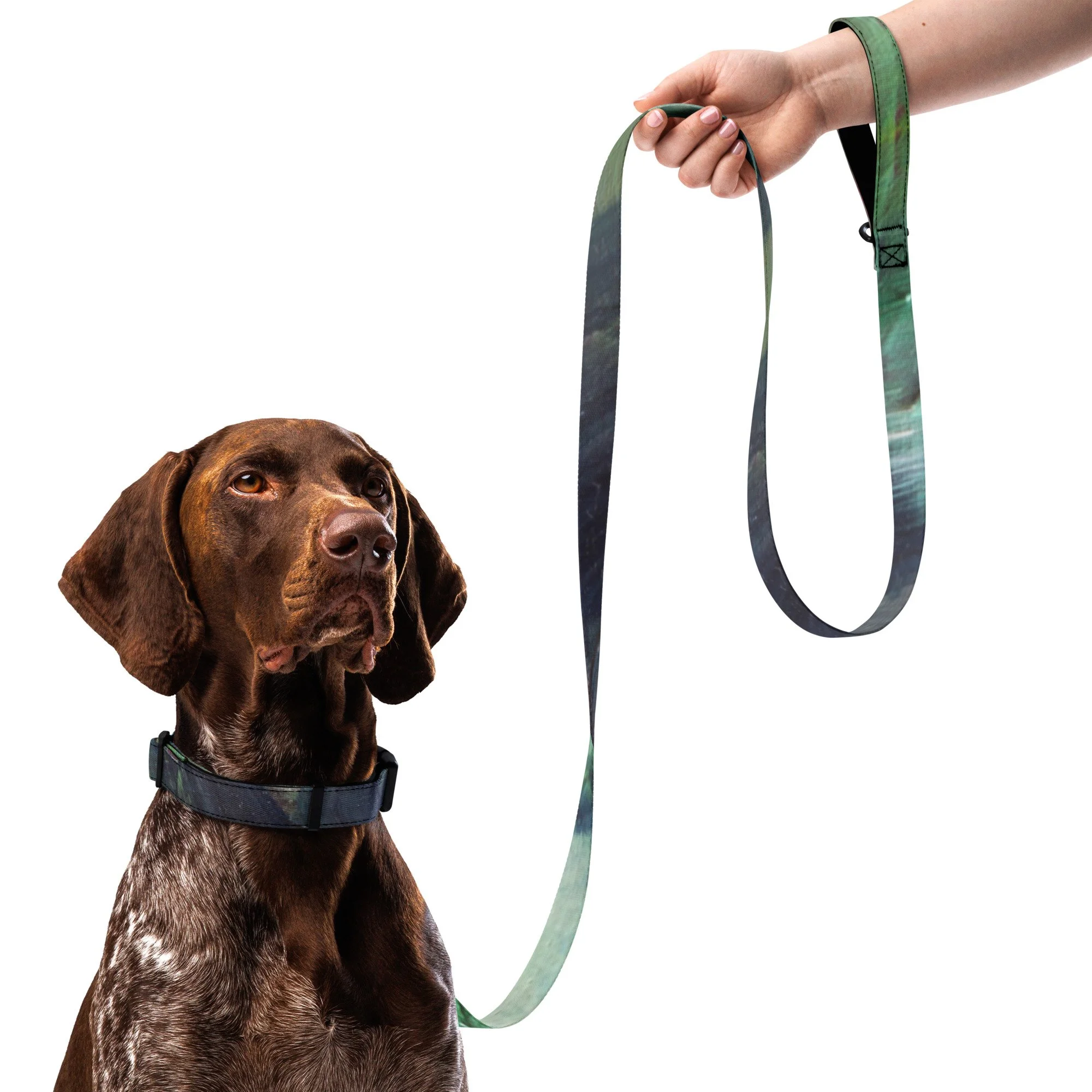 pet-collar--leash-white-l-front-6a3f63ed3d7c2.jpg