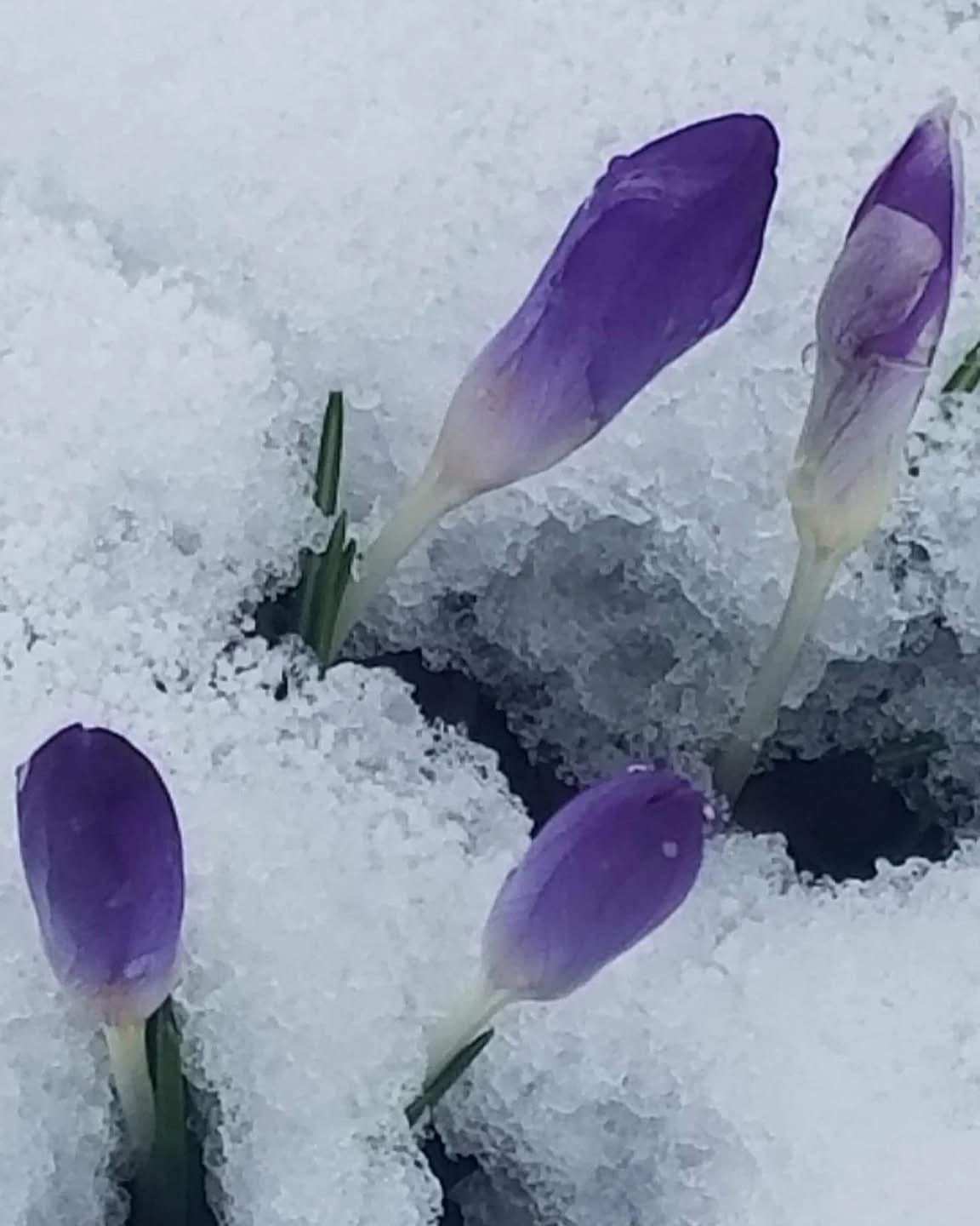 Pisces New Moon 2025