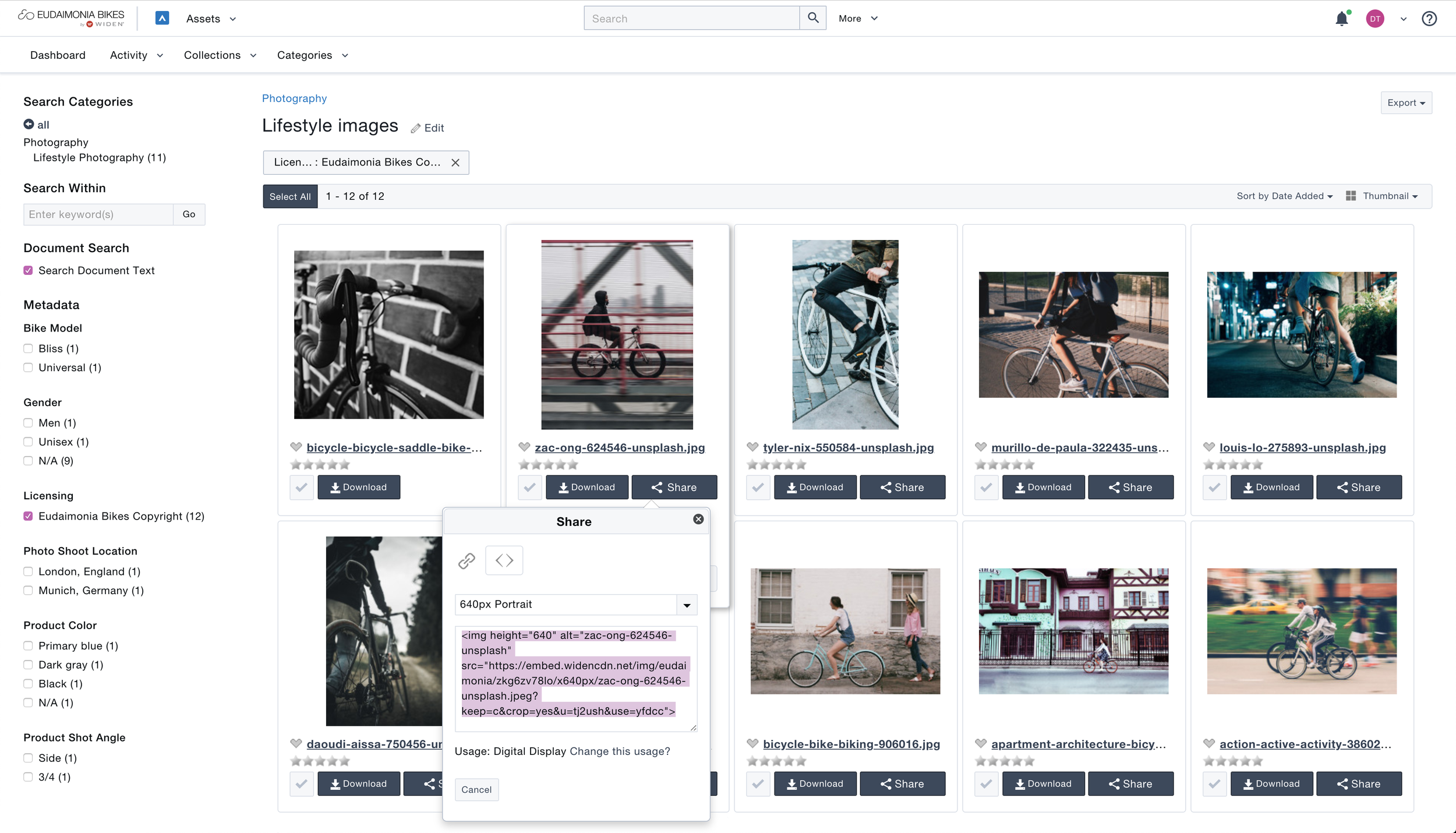 Widen Collective Search Results and Embed.png