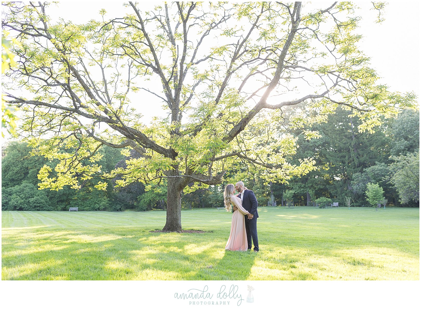 Frelinghuysen Arboretum Engagement Photography