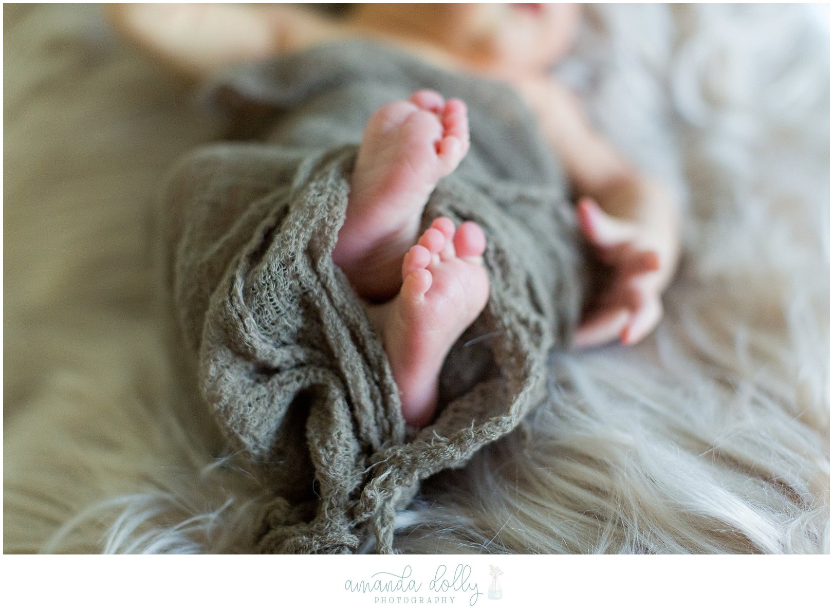 West Long Branch NJ Newborn Photography