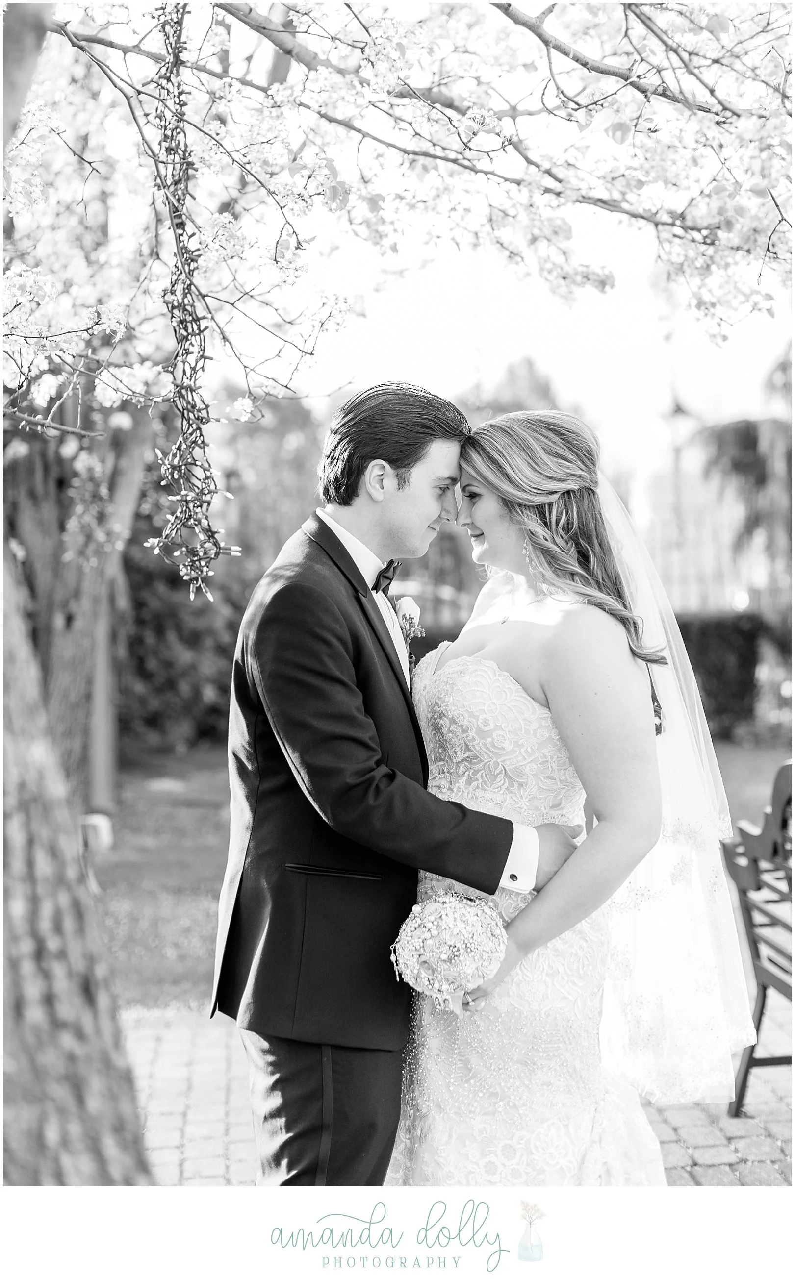 Addison Park Wedding Photography_2729.jpg