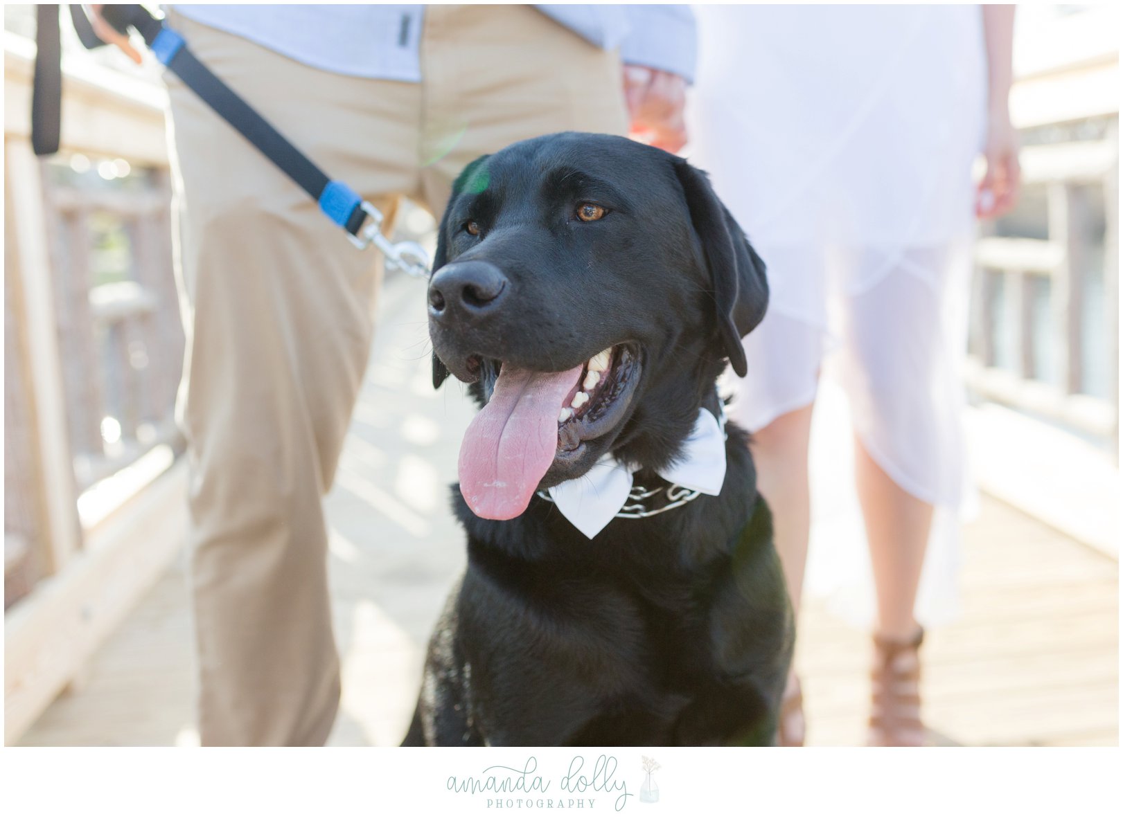 Spring Lake Engagement Session