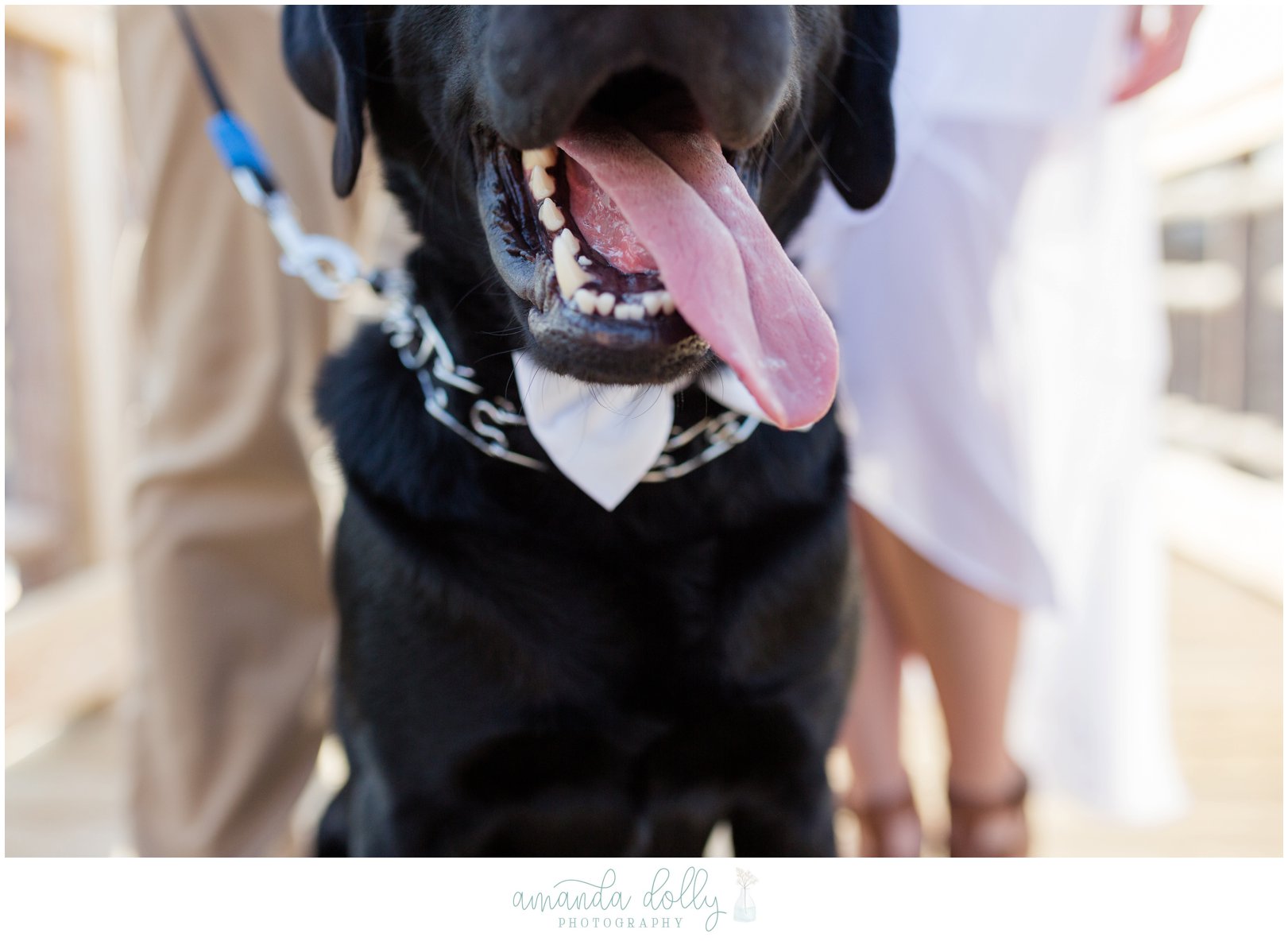 Spring Lake Engagement Session