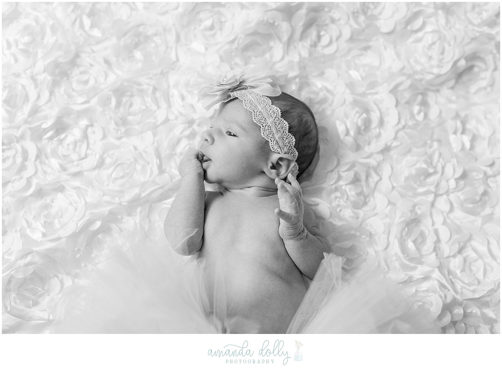 Union NJ Newborn Photography