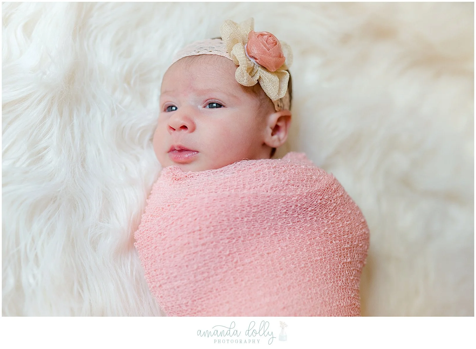 Union NJ Newborn Photography