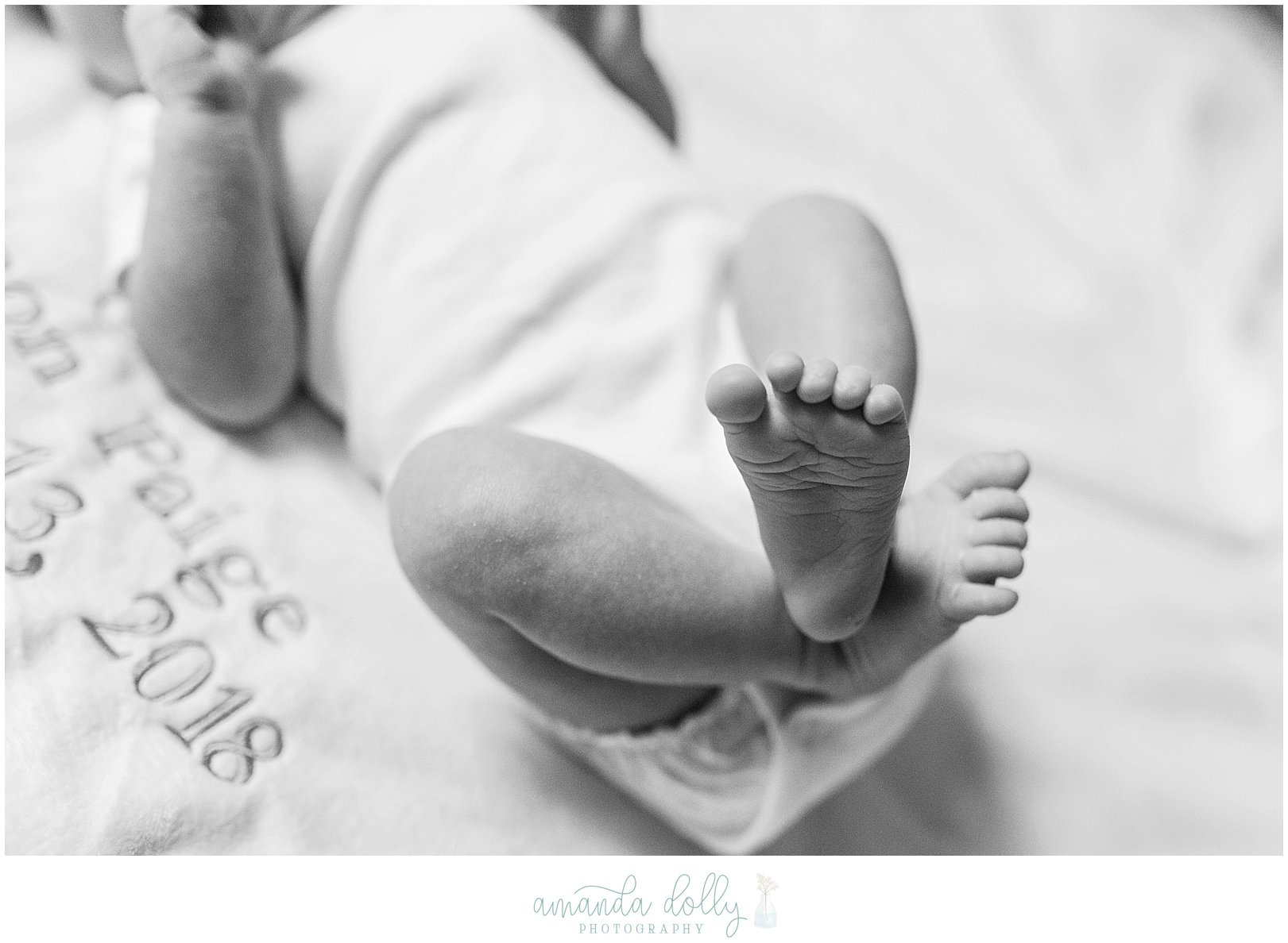 Union NJ Newborn Photography