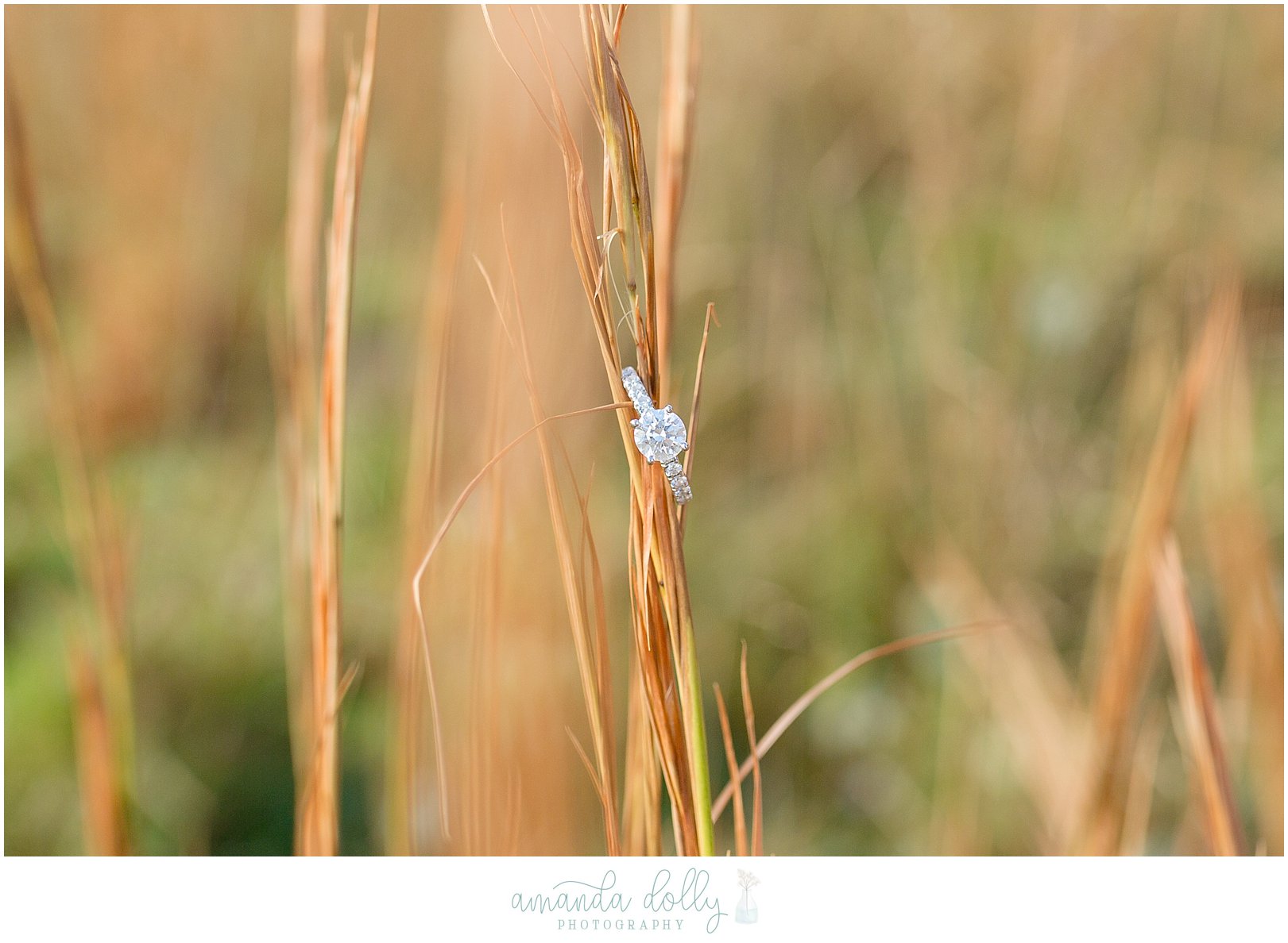 Hartshorne Park Engagement Session