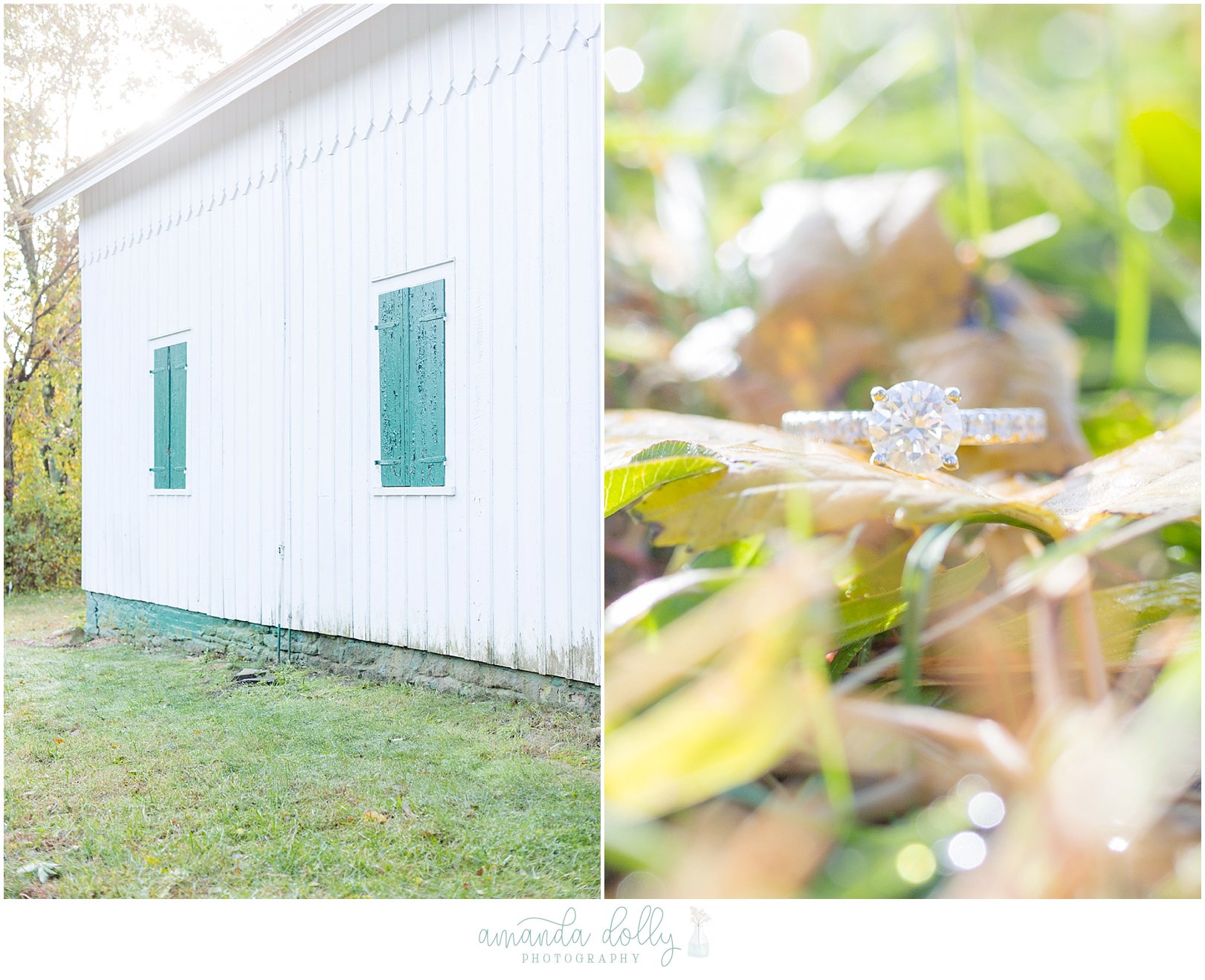 Hartshorne Park Engagement Session