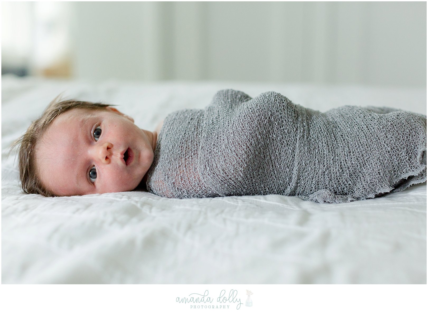 Madison NJ Newborn Photography