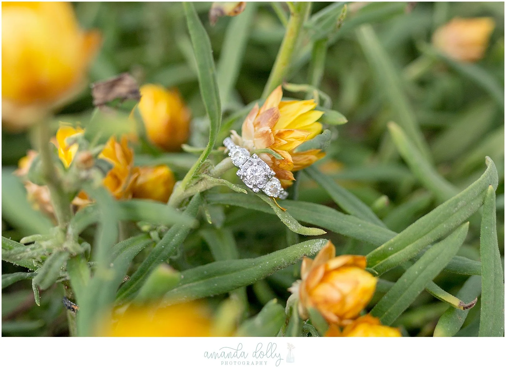 Avon-By-The-Sea NJ Engagement Photography