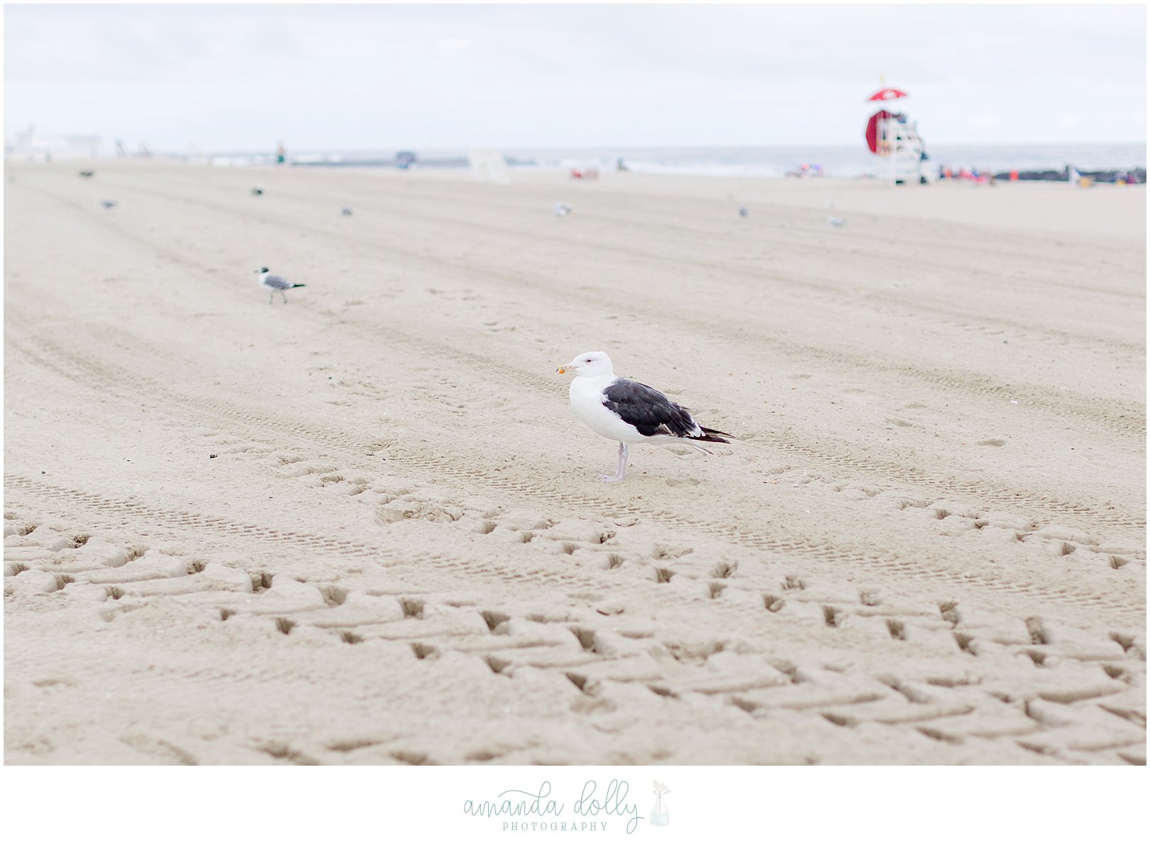 Avon-By-The-Sea NJ Engagement Photography