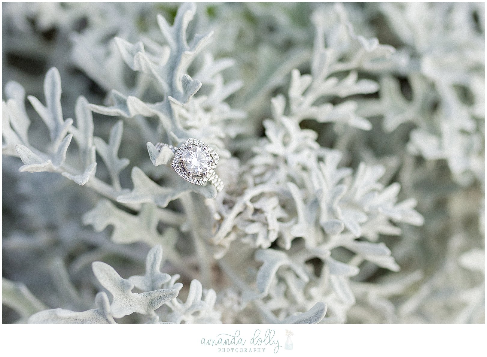 Sea Bright NJ Engagement Photography