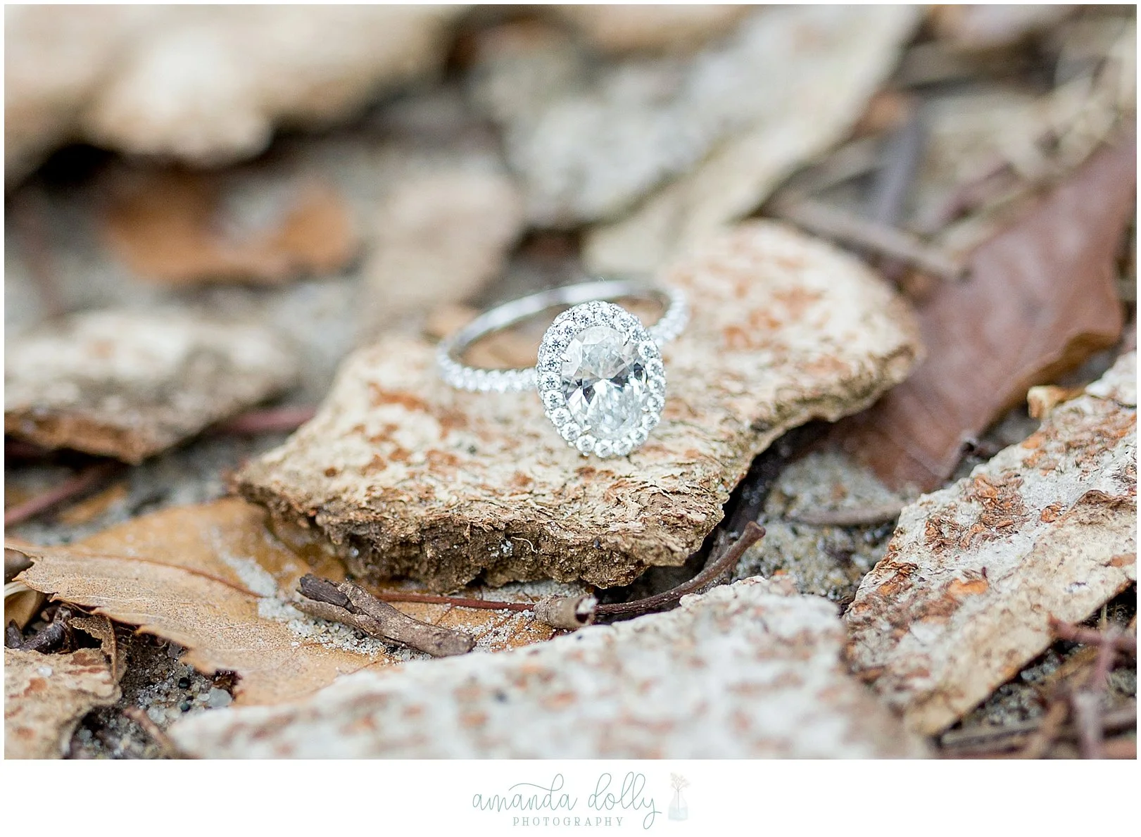 Allaire State Park Engagement Photography