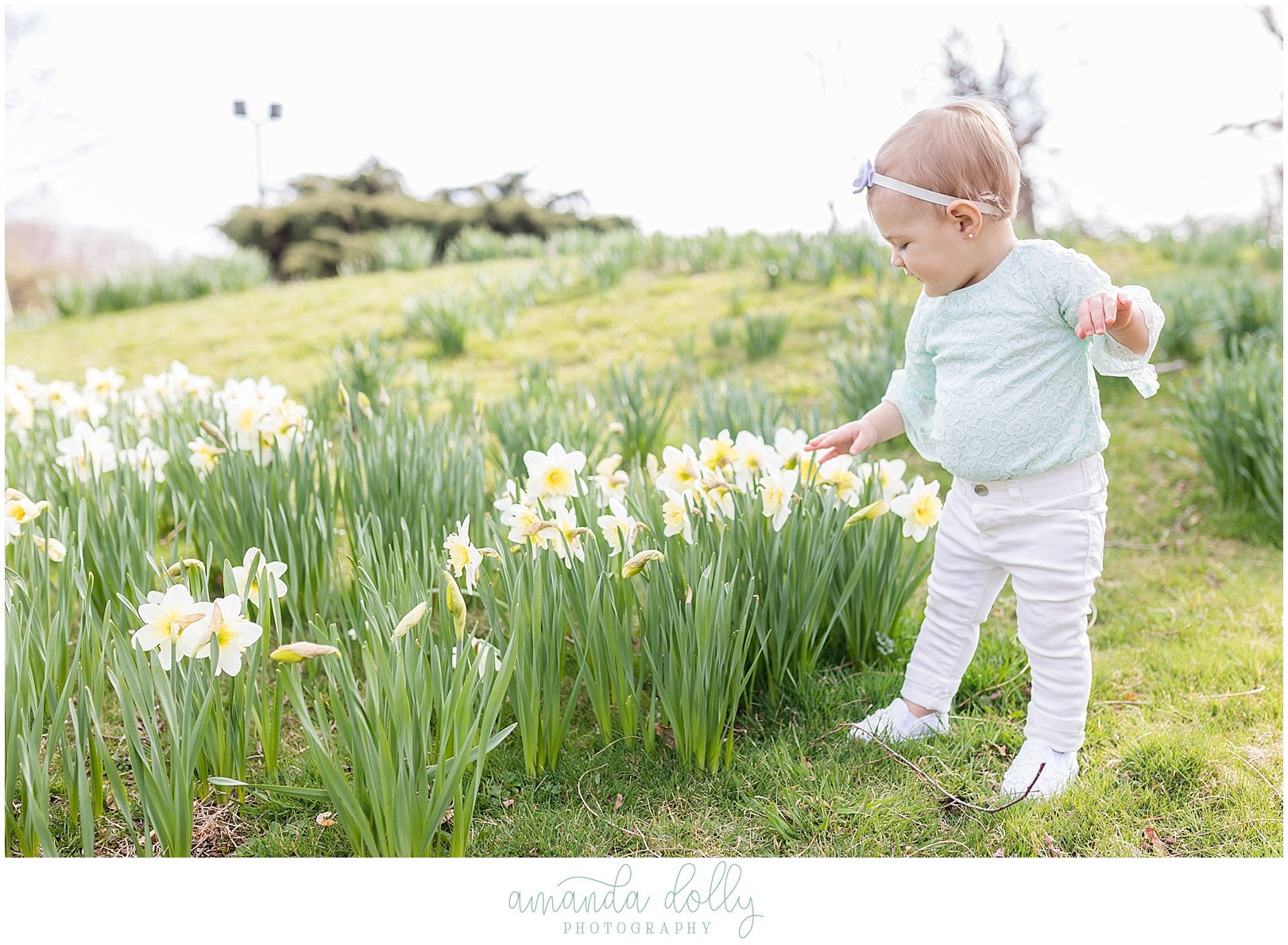 1st Birthday Cake Smash Photography