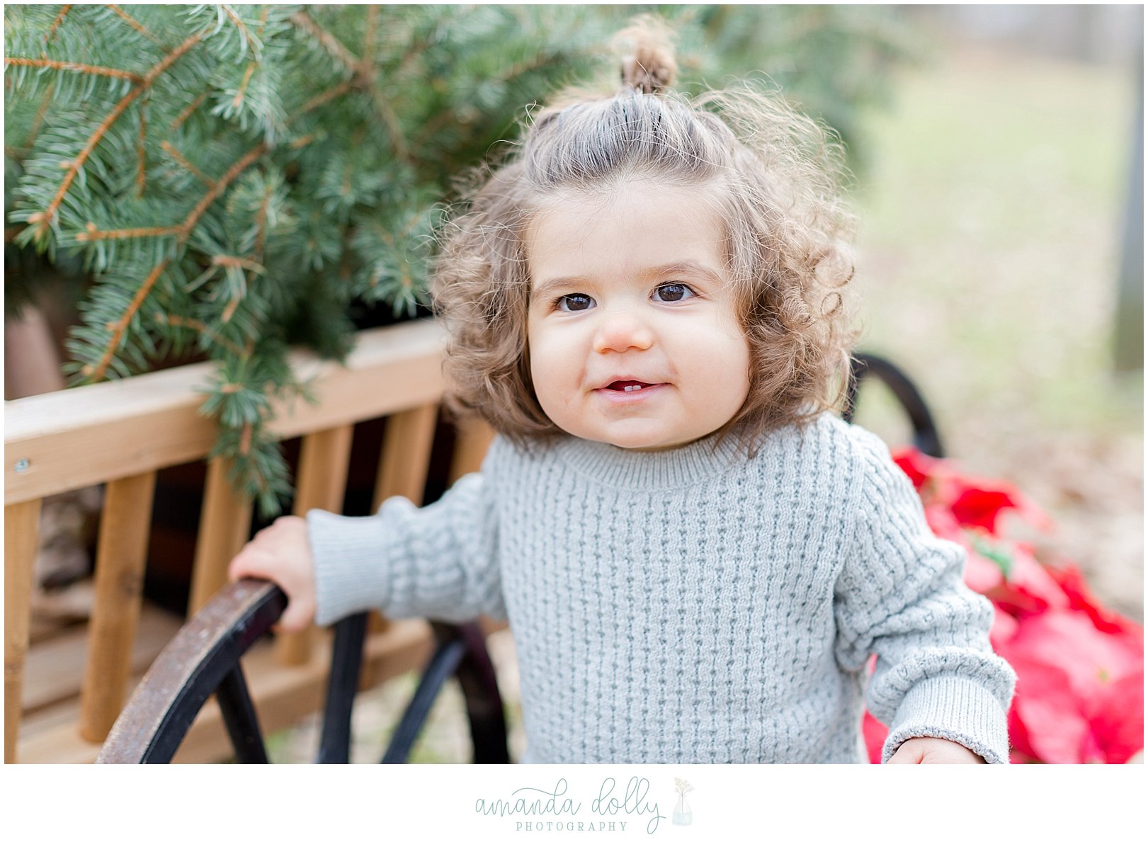 Allaire State Park Family Photography