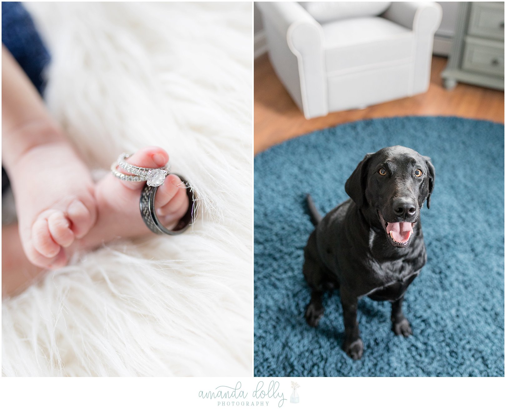 NJ Newborn Photography