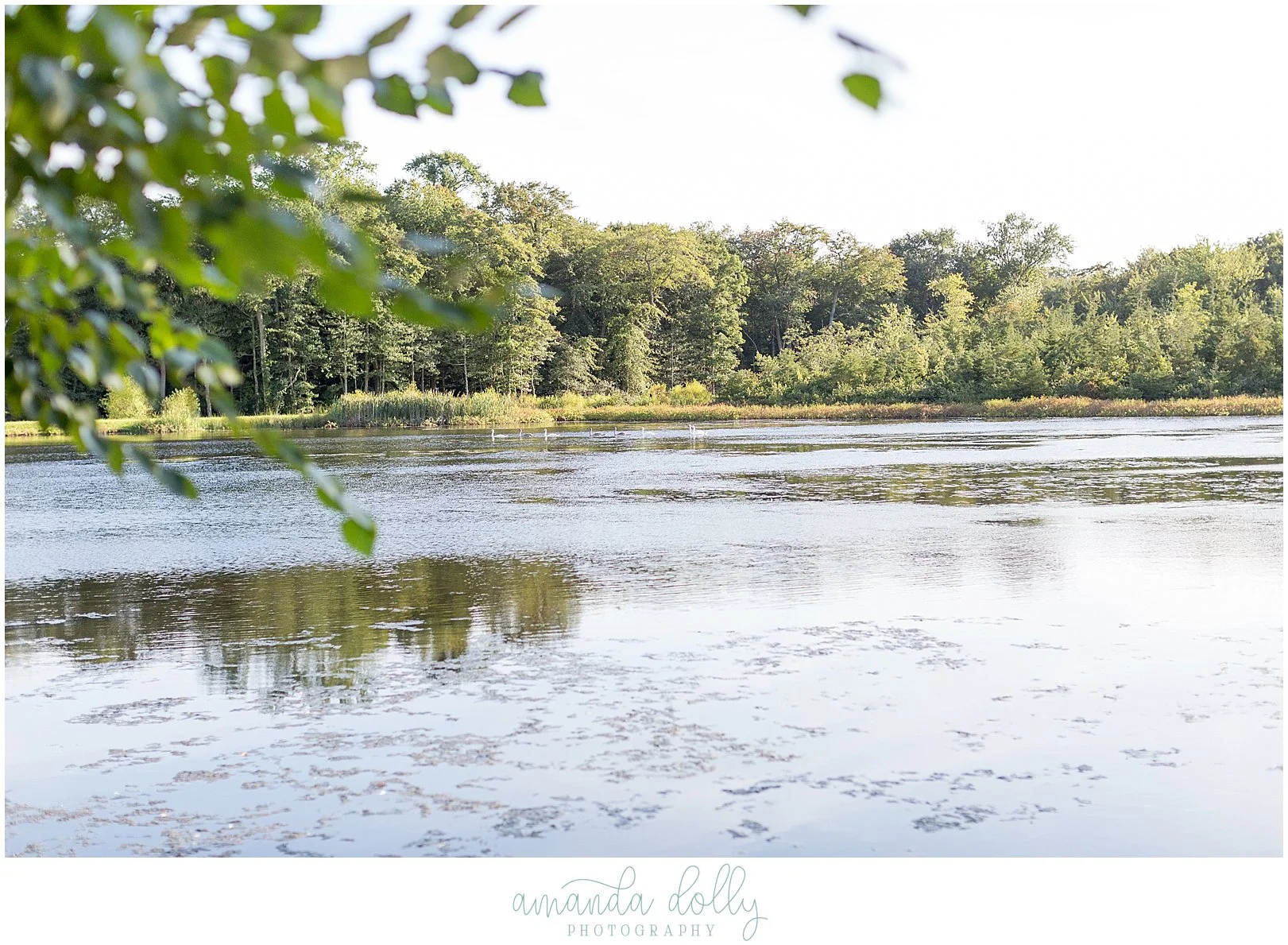 The Mill Wedding Photography