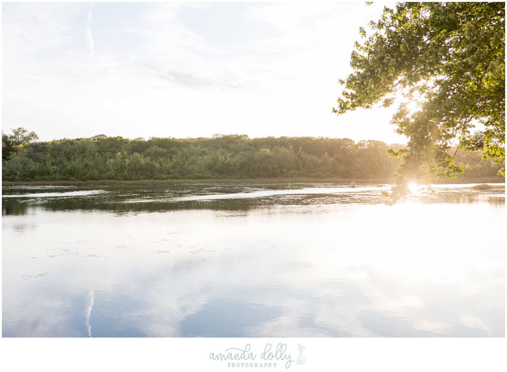 The Mill Wedding Photography_7266.jpg