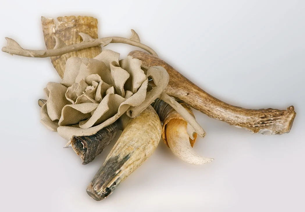 Horns and Thorns