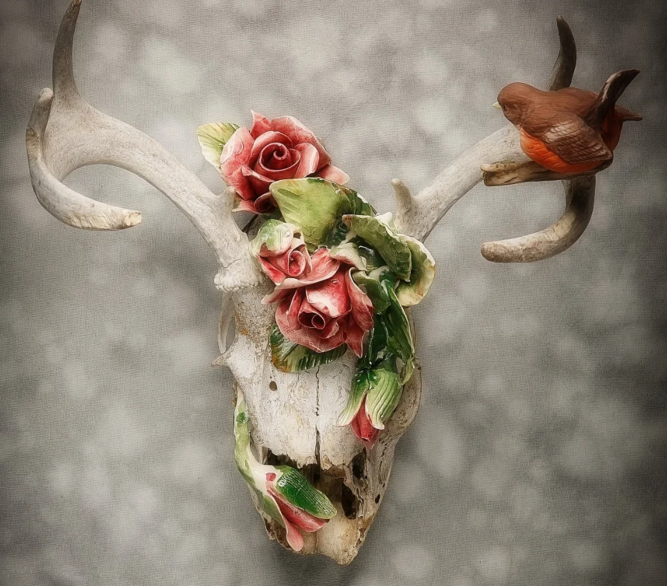 Robin Rose